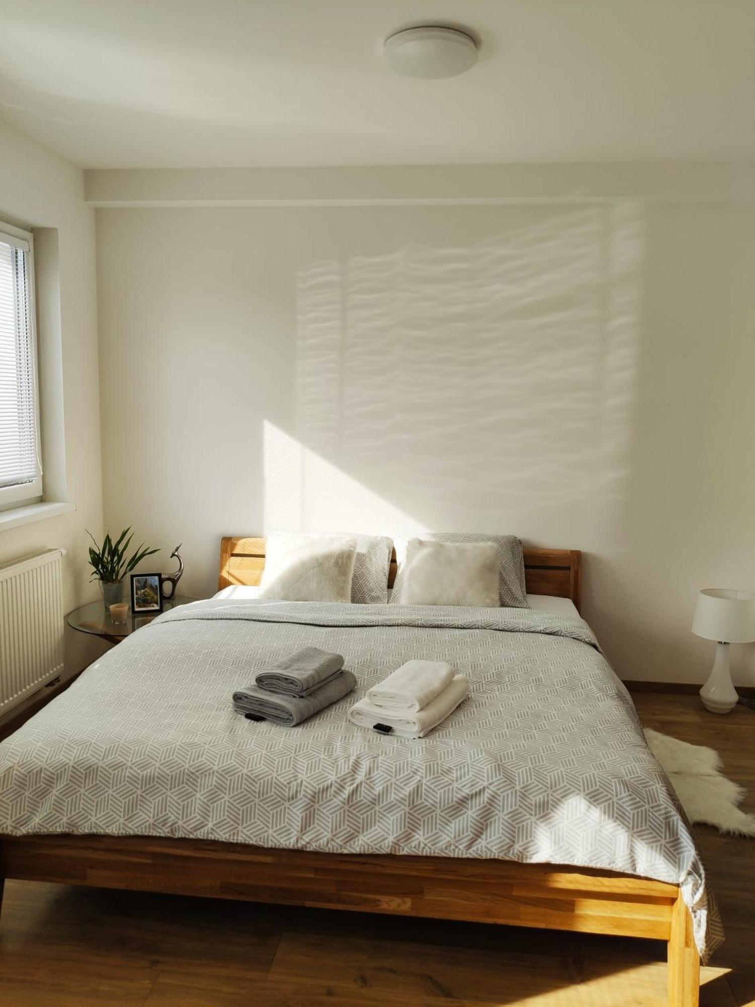 One-Bedroom Apartment photo 3