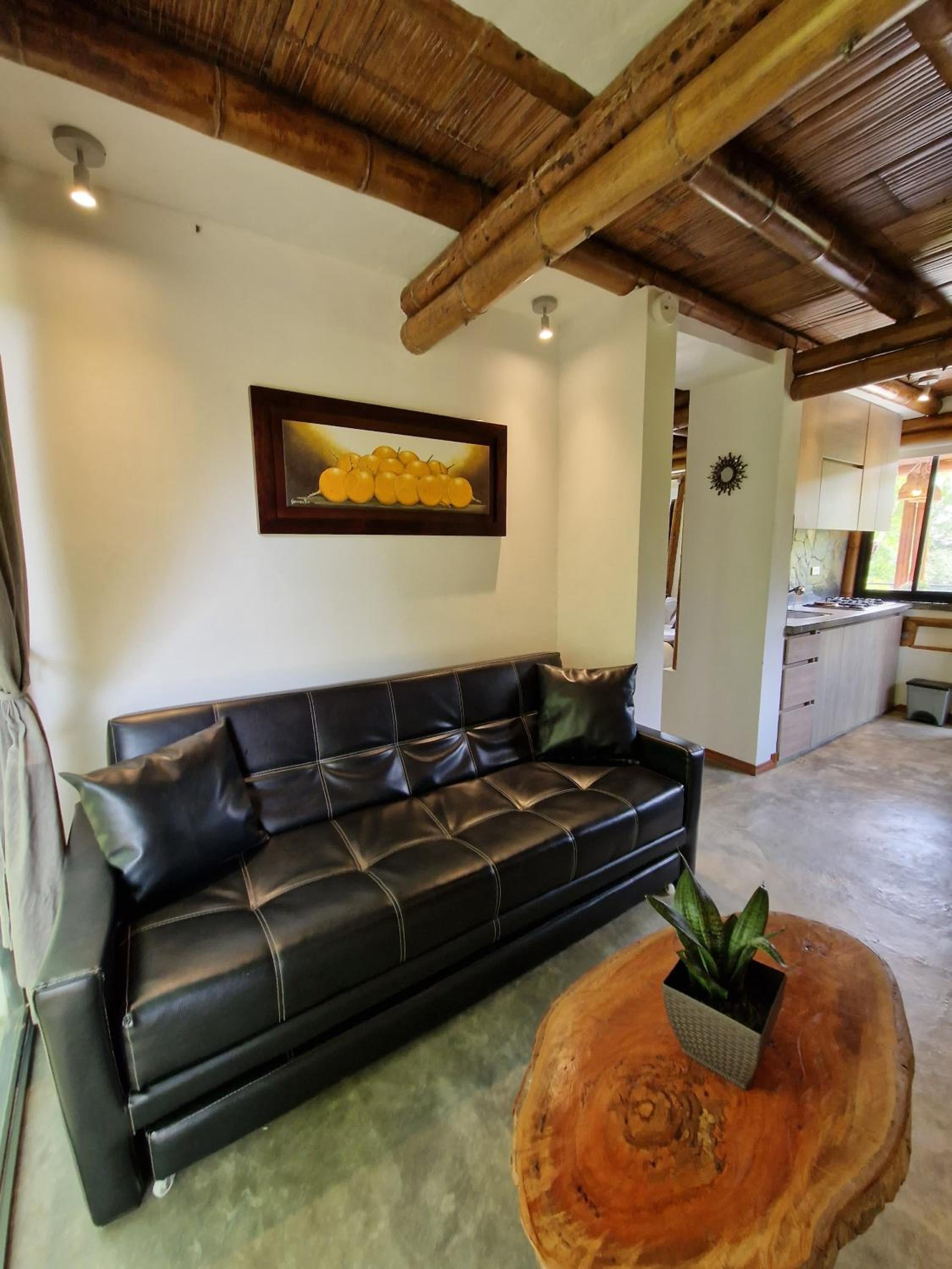 Studio With Terrace