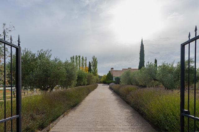 Villa photo 3