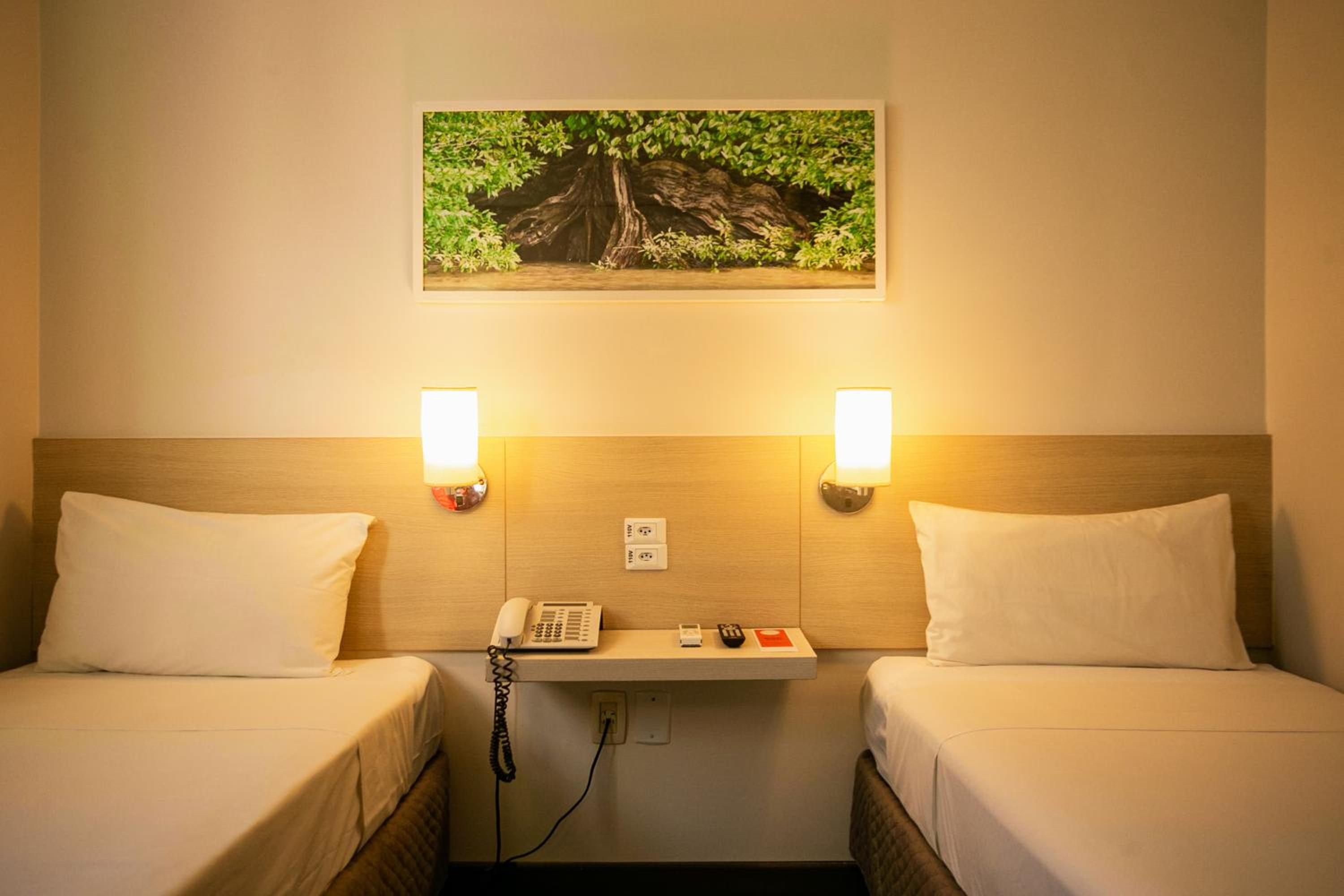 Standard Twin Room - Photo 5