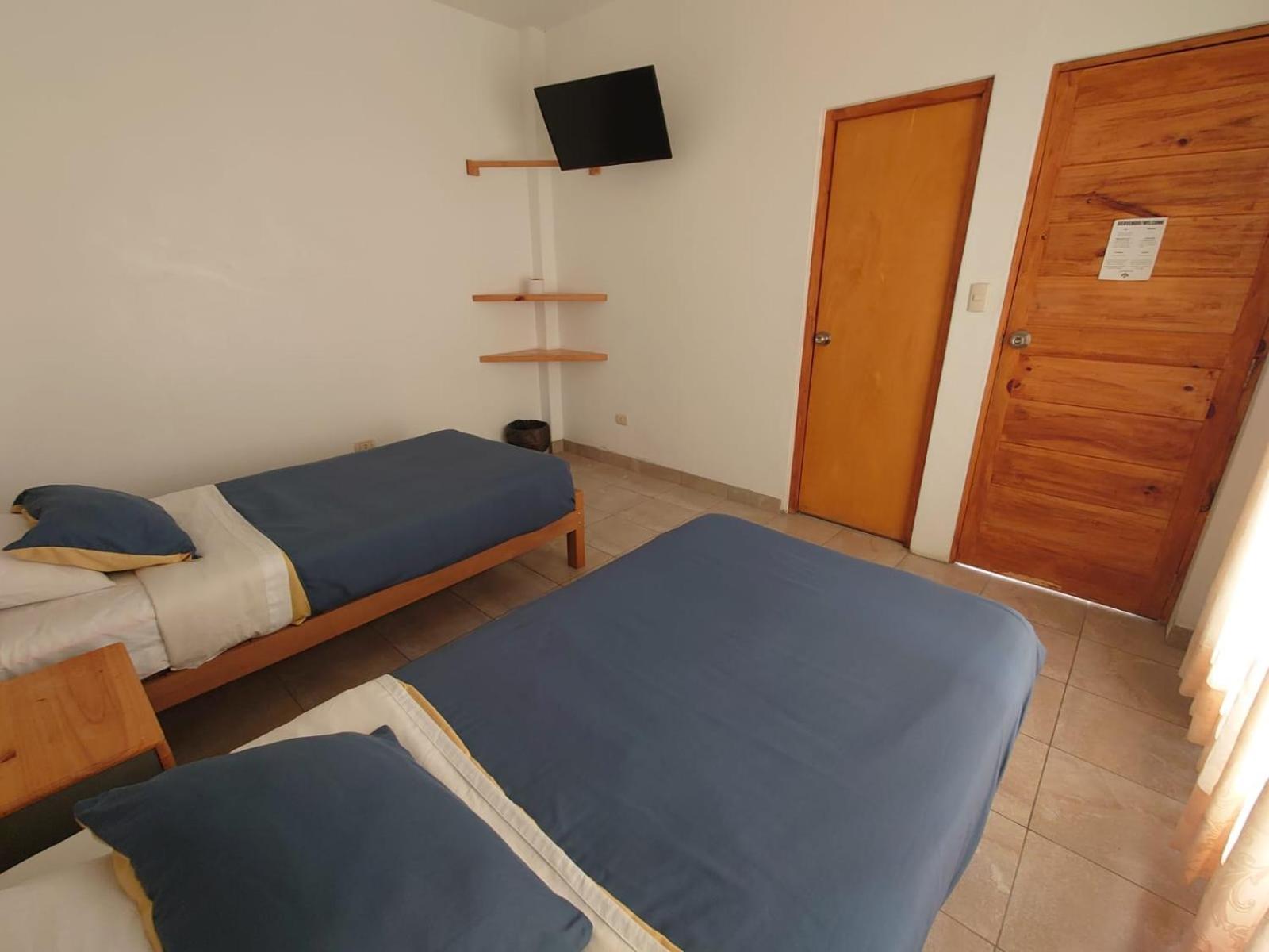 Twin Room photo 2
