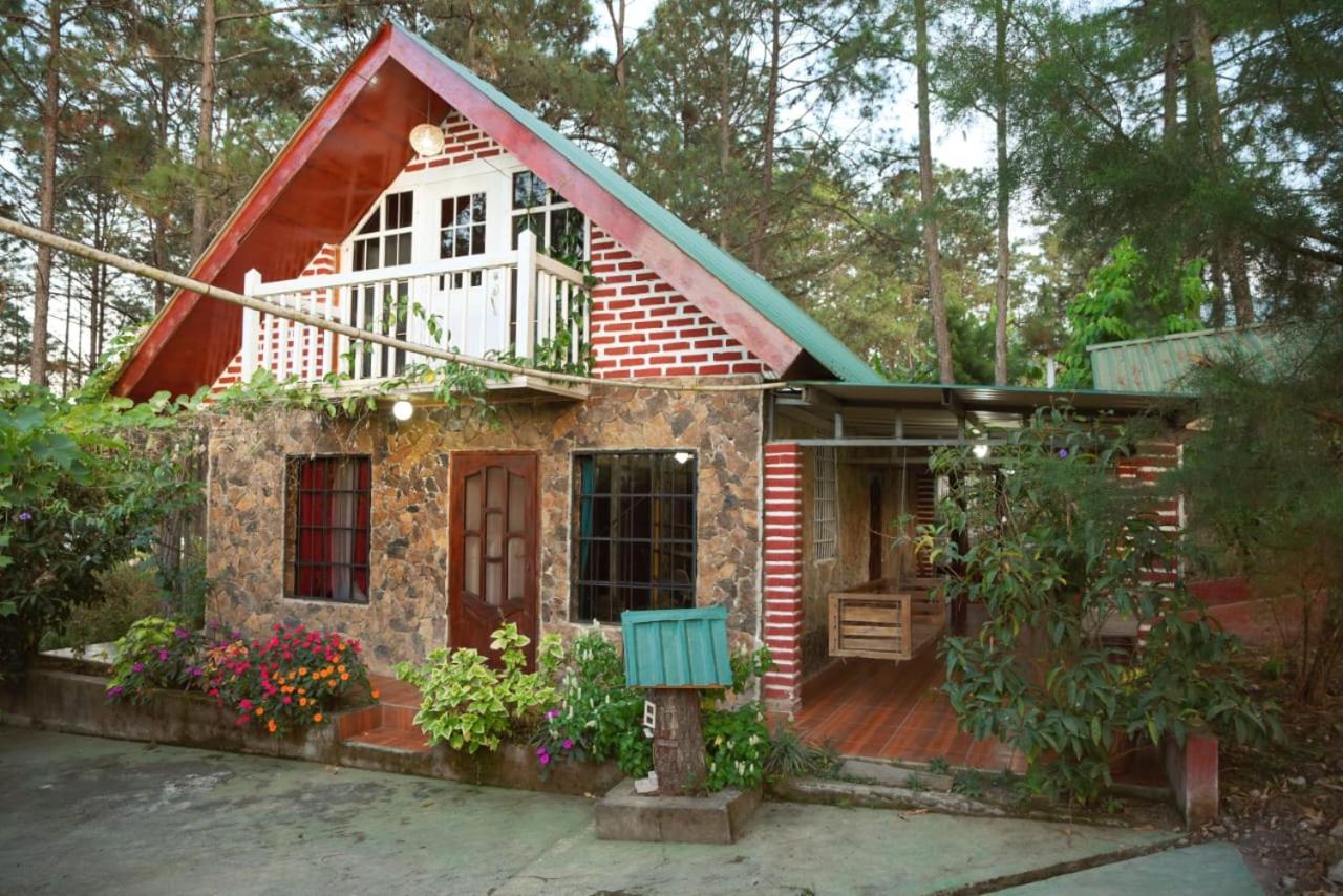 Three-Bedroom Chalet photo 2