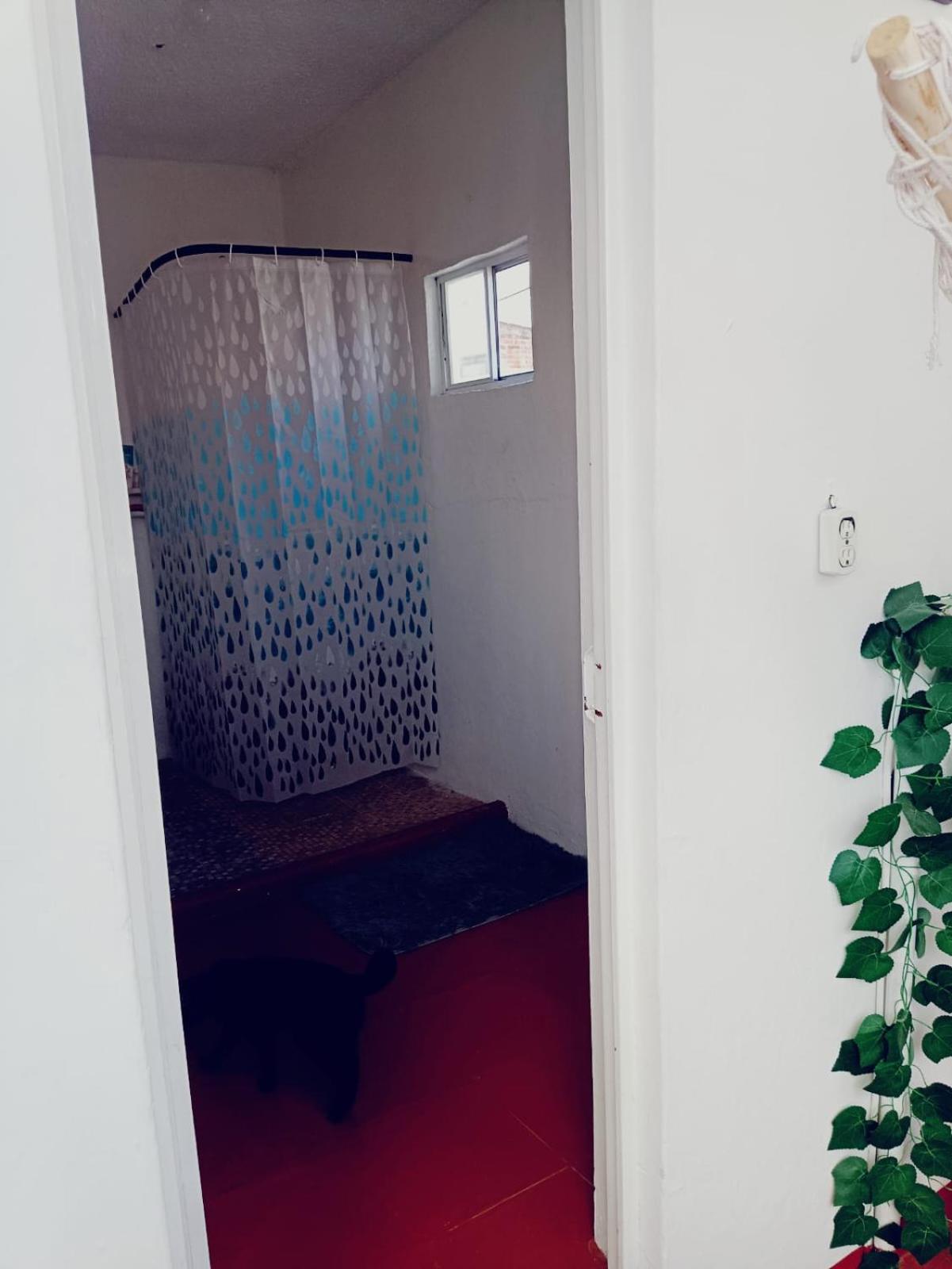Small Double Room photo 3