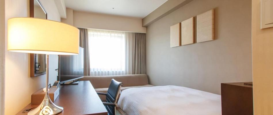 Deluxe Single Room photo 3