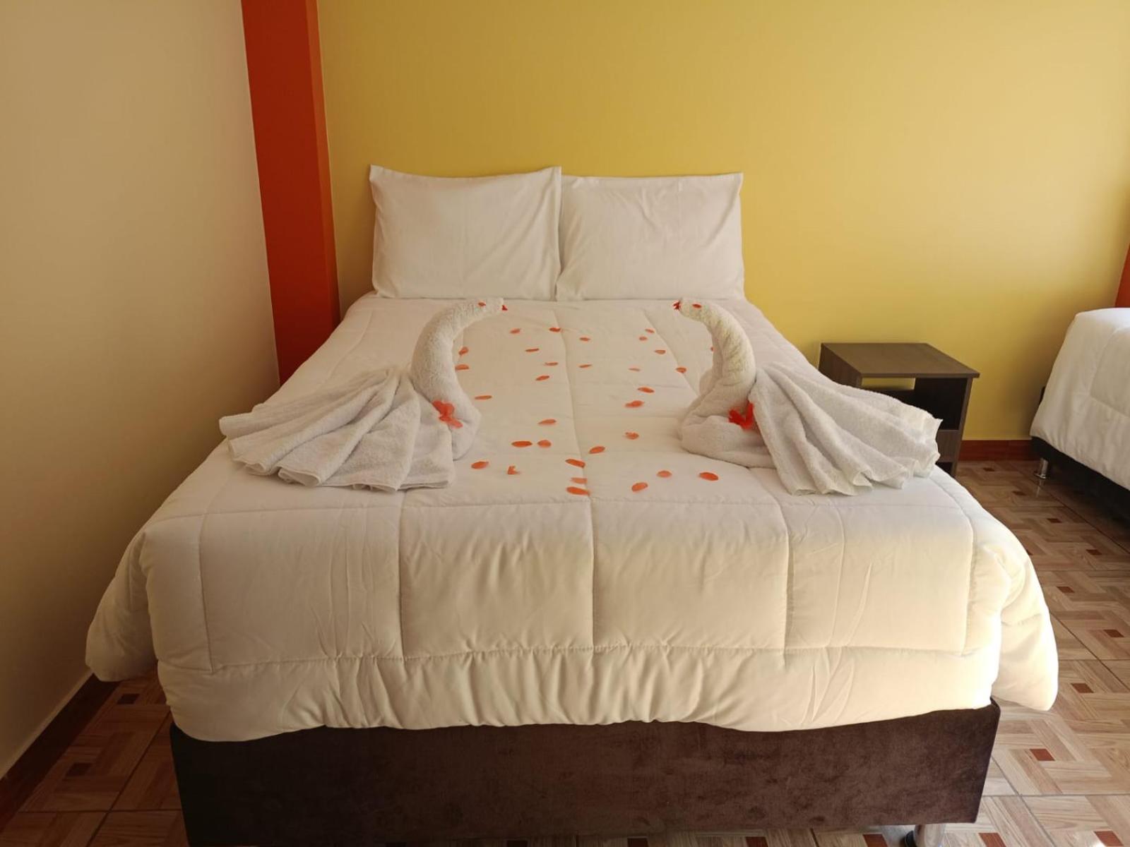 Twin Room photo 1