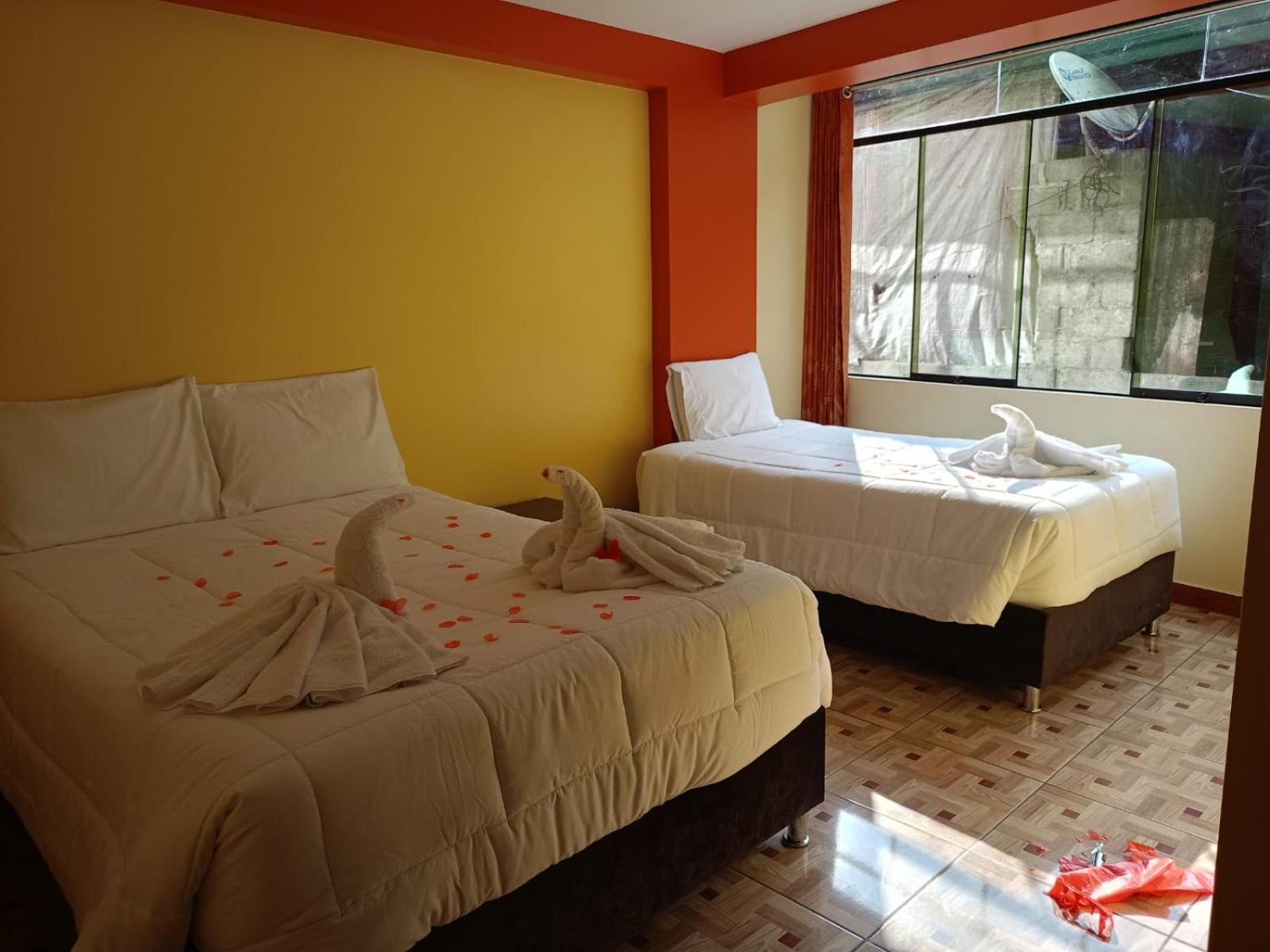 Twin Room photo 3
