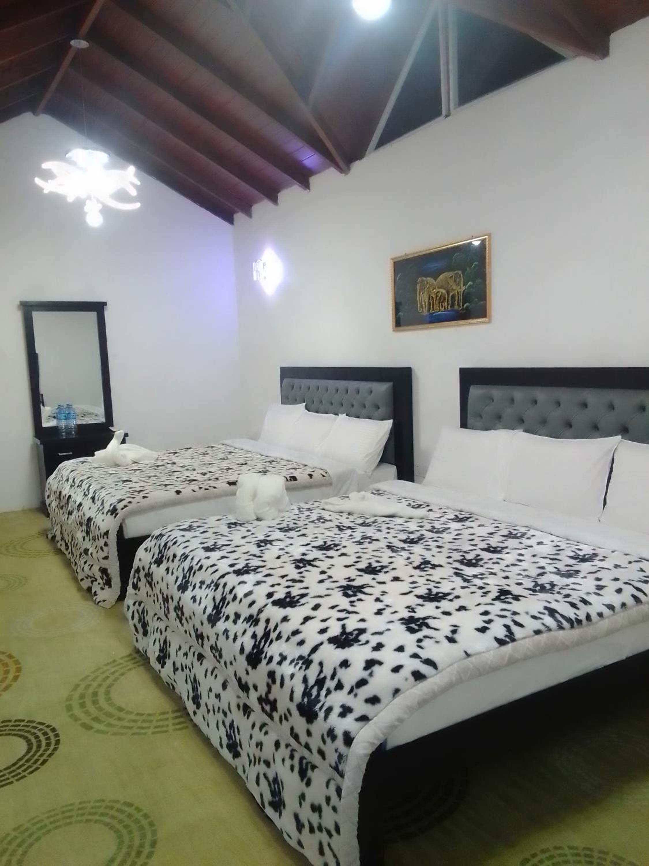 Suite photo 1