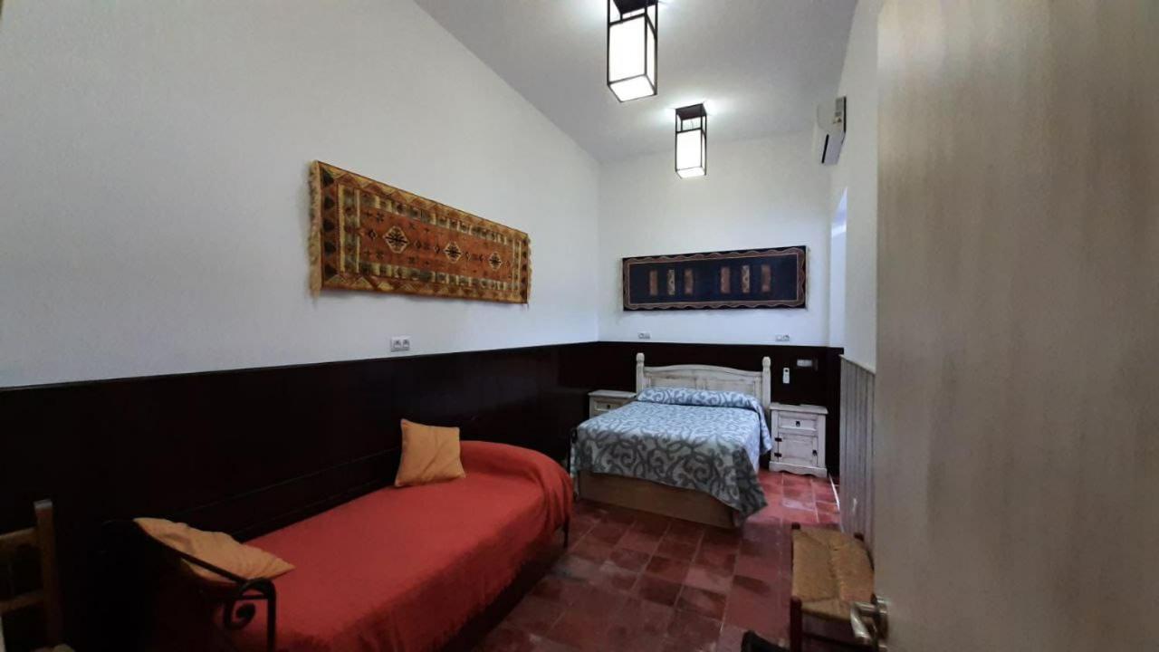 Suite Apartment photo 2