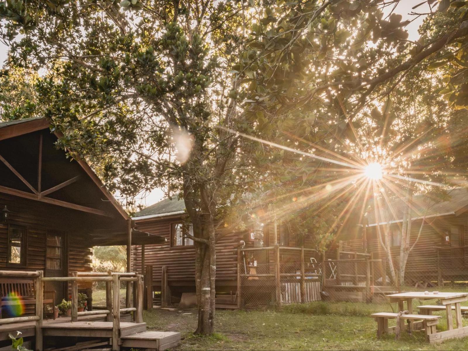 Superior Chalet photo 3
