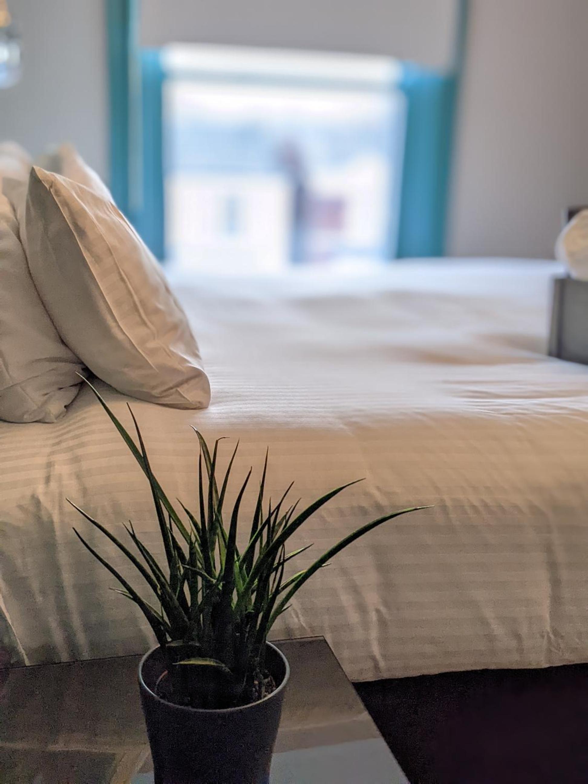 Superior King Room with One King Bed (Non Smoking) photo 1