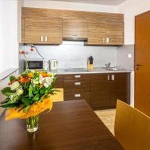 Superior One-Bedroom Apartment - Photo 7