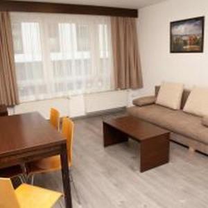 Superior One-Bedroom Apartment - Photo 6