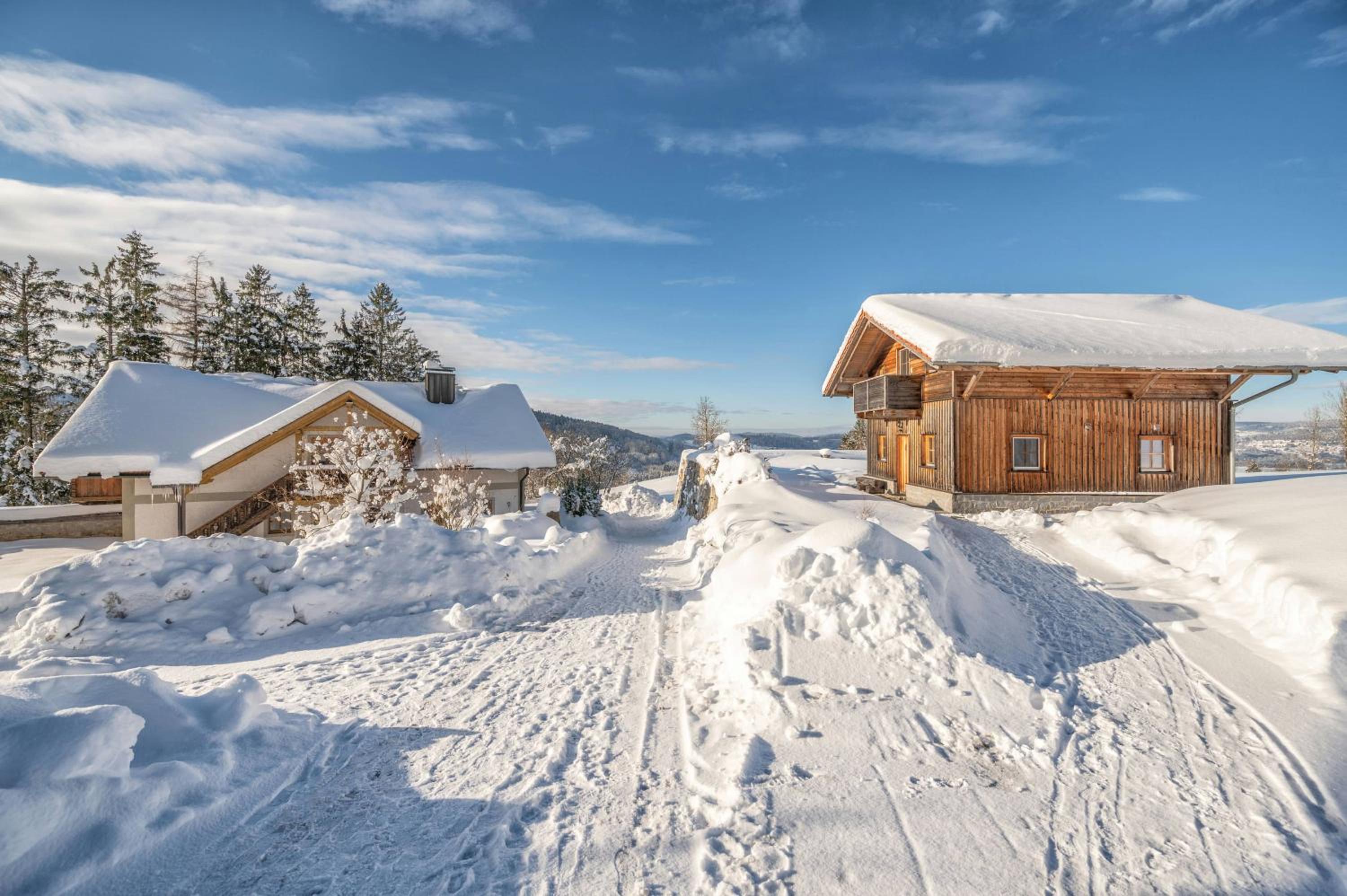 Superior Apartment with Sauna photo 2