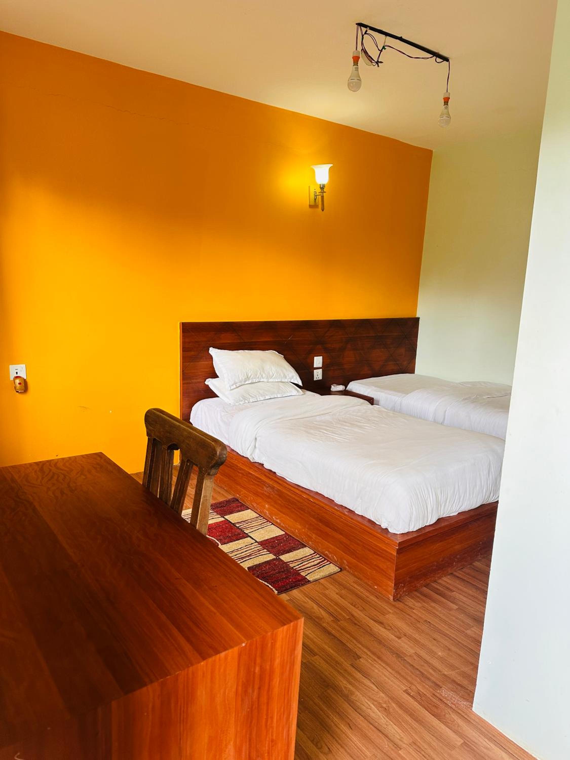 Twin Room photo 2
