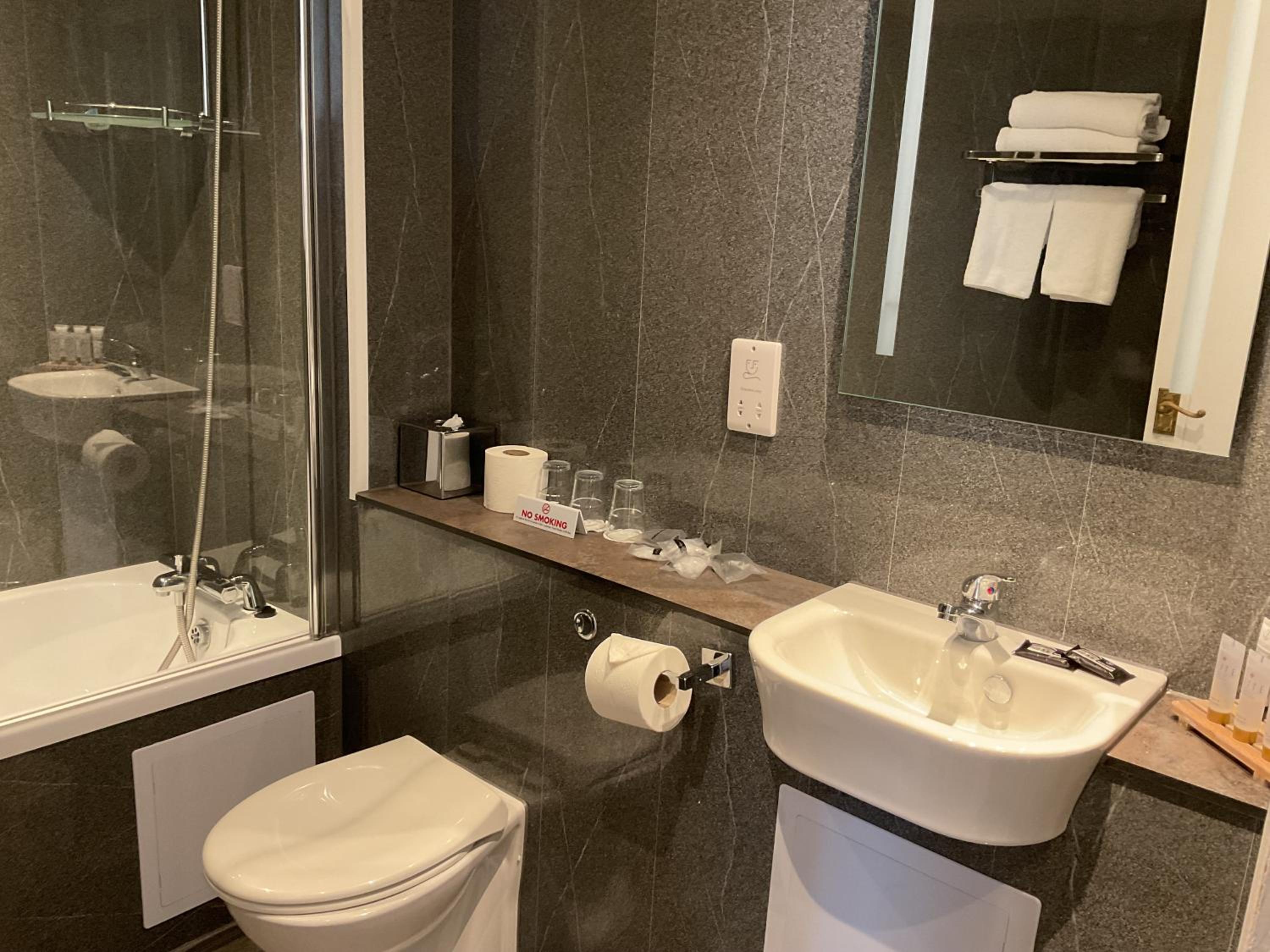 One-Bedroom Suite - Photo 10