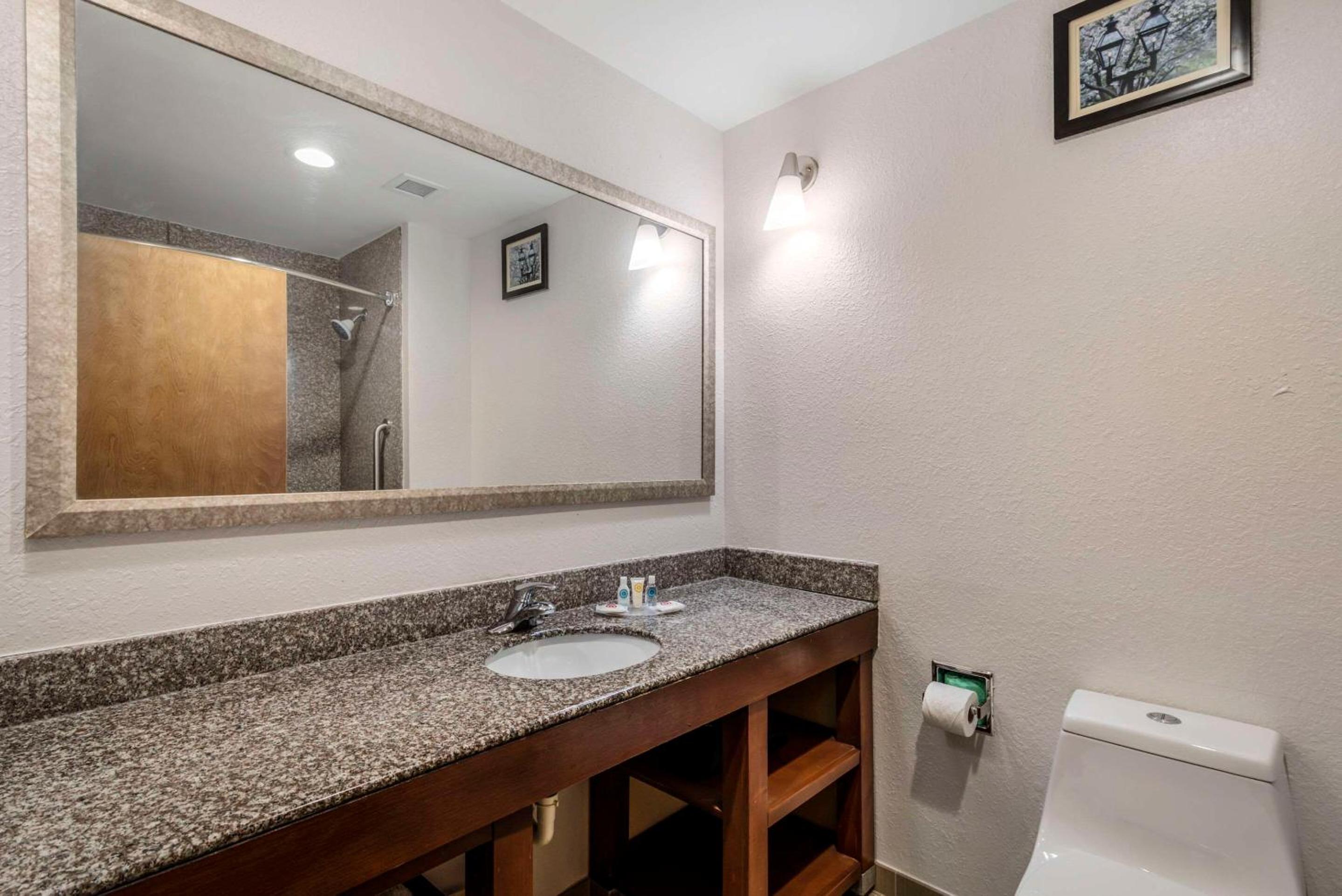 King Suite - Non-Smoking - Photo 10
