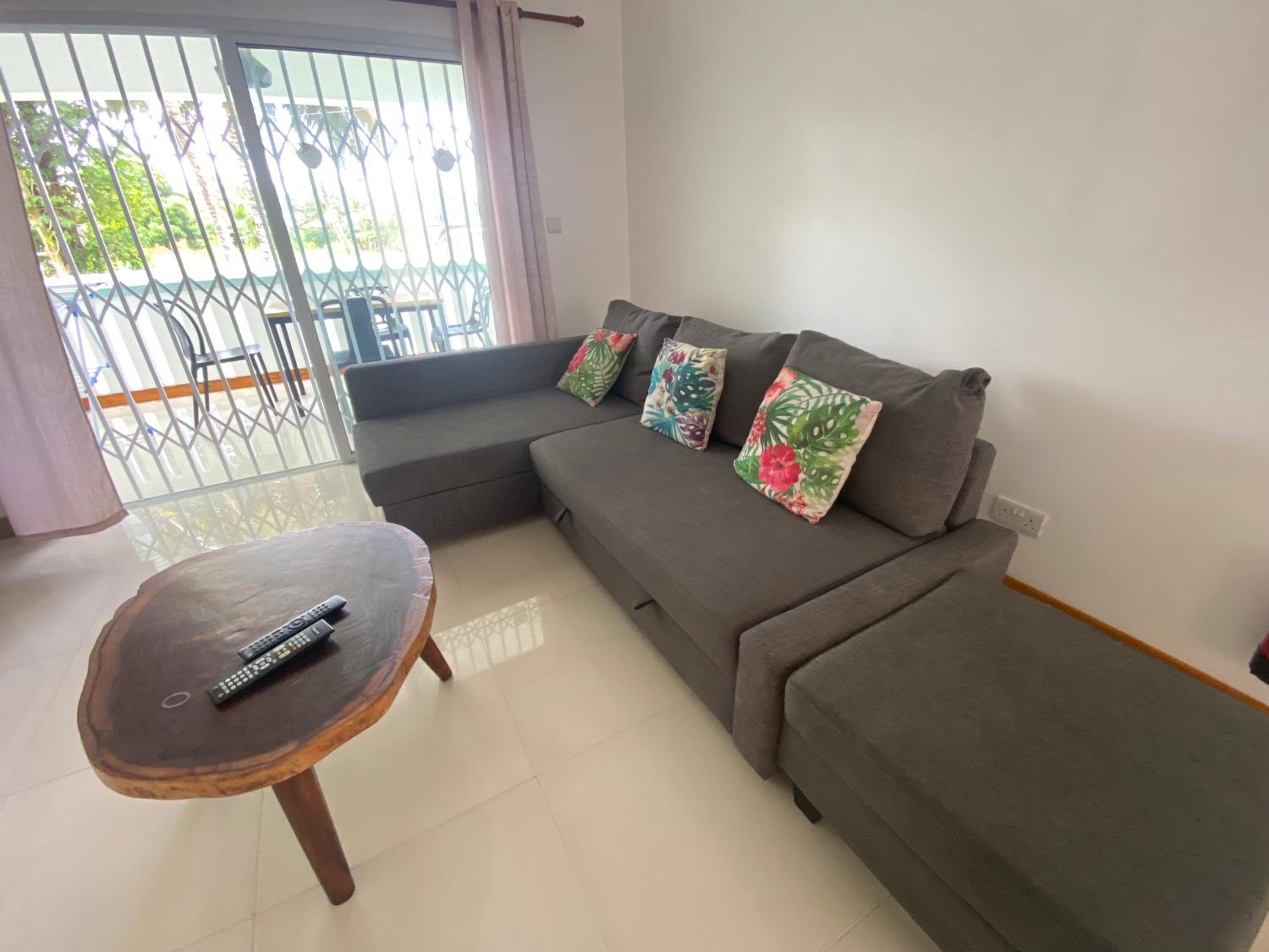 Deluxe One-Bedroom Apartment