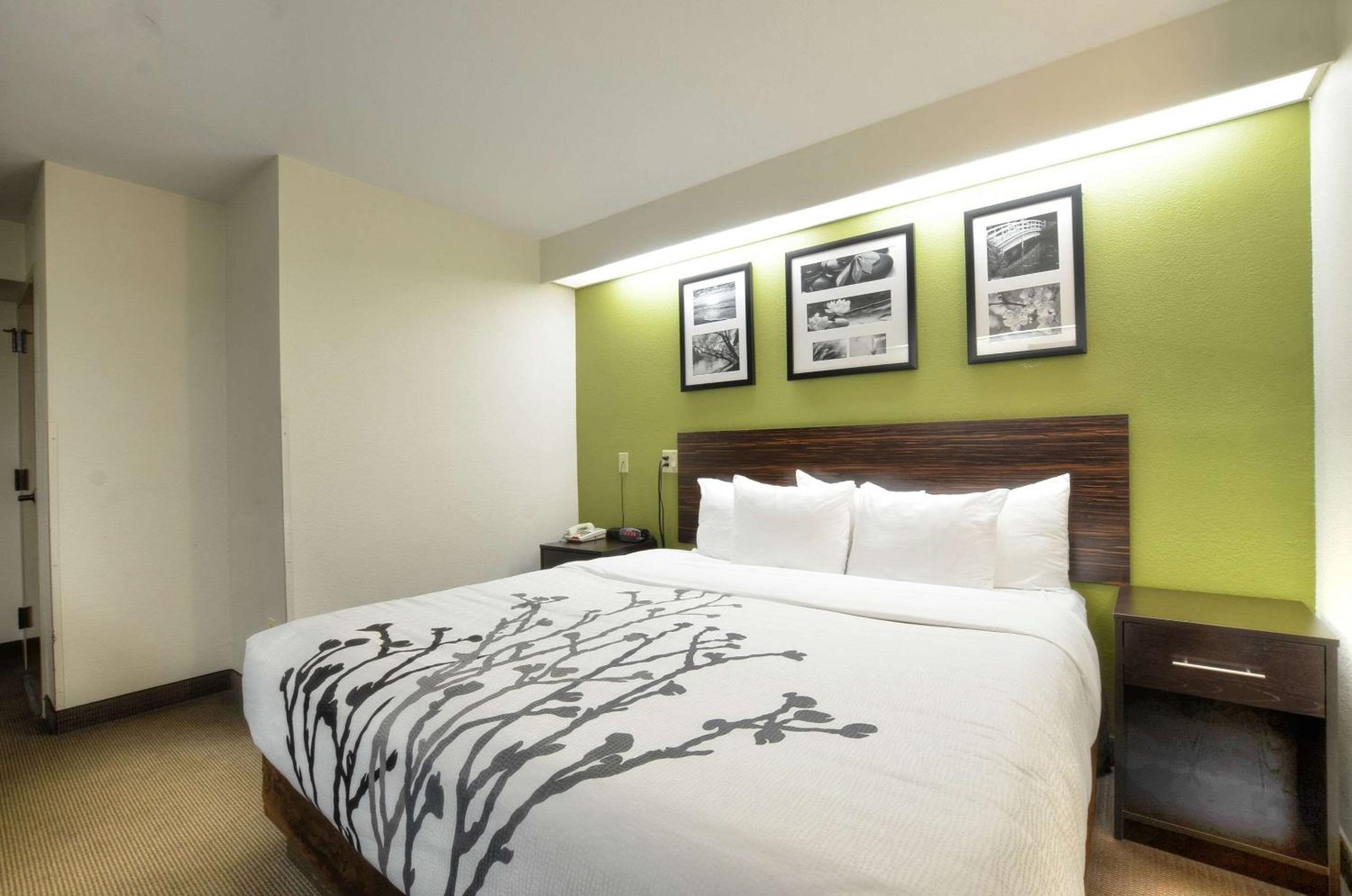 King Room - Photo 1