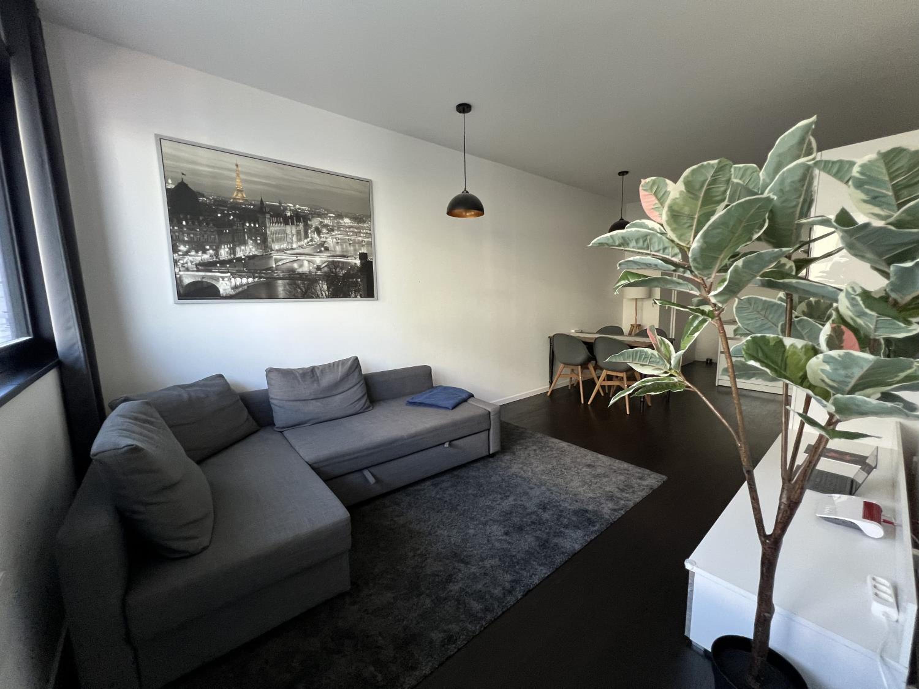 One-Bedroom Apartment photo 3