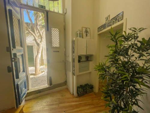 Apartment - Photo 19