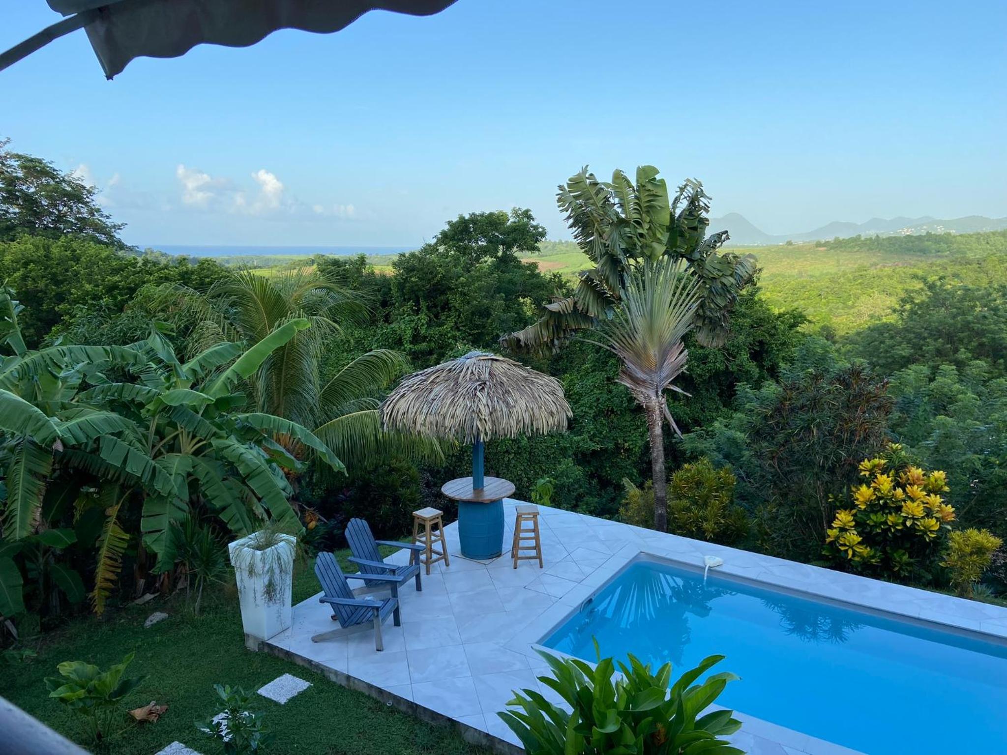 Superior Villa photo 2