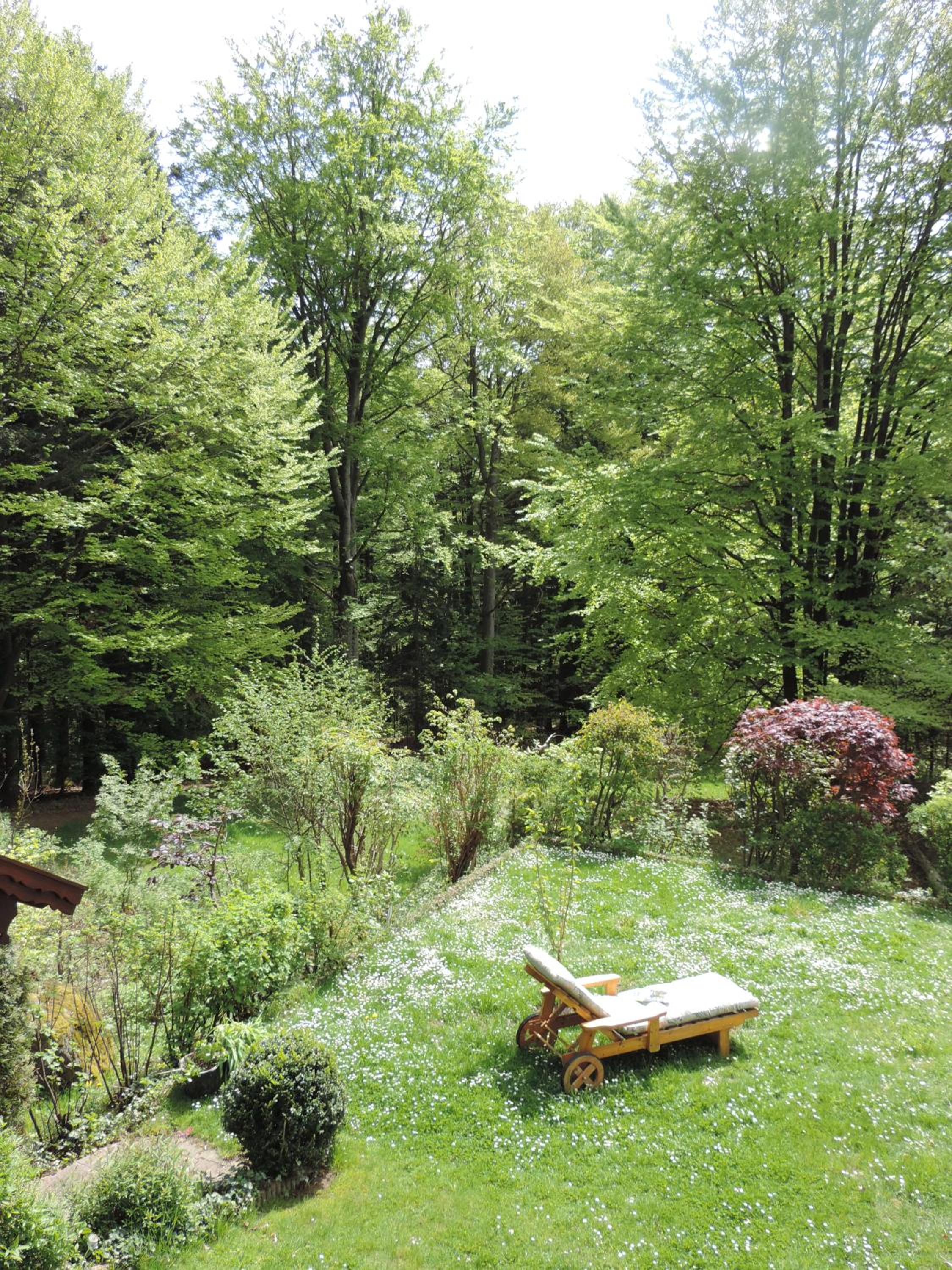 Apartment Rehberg photo 3