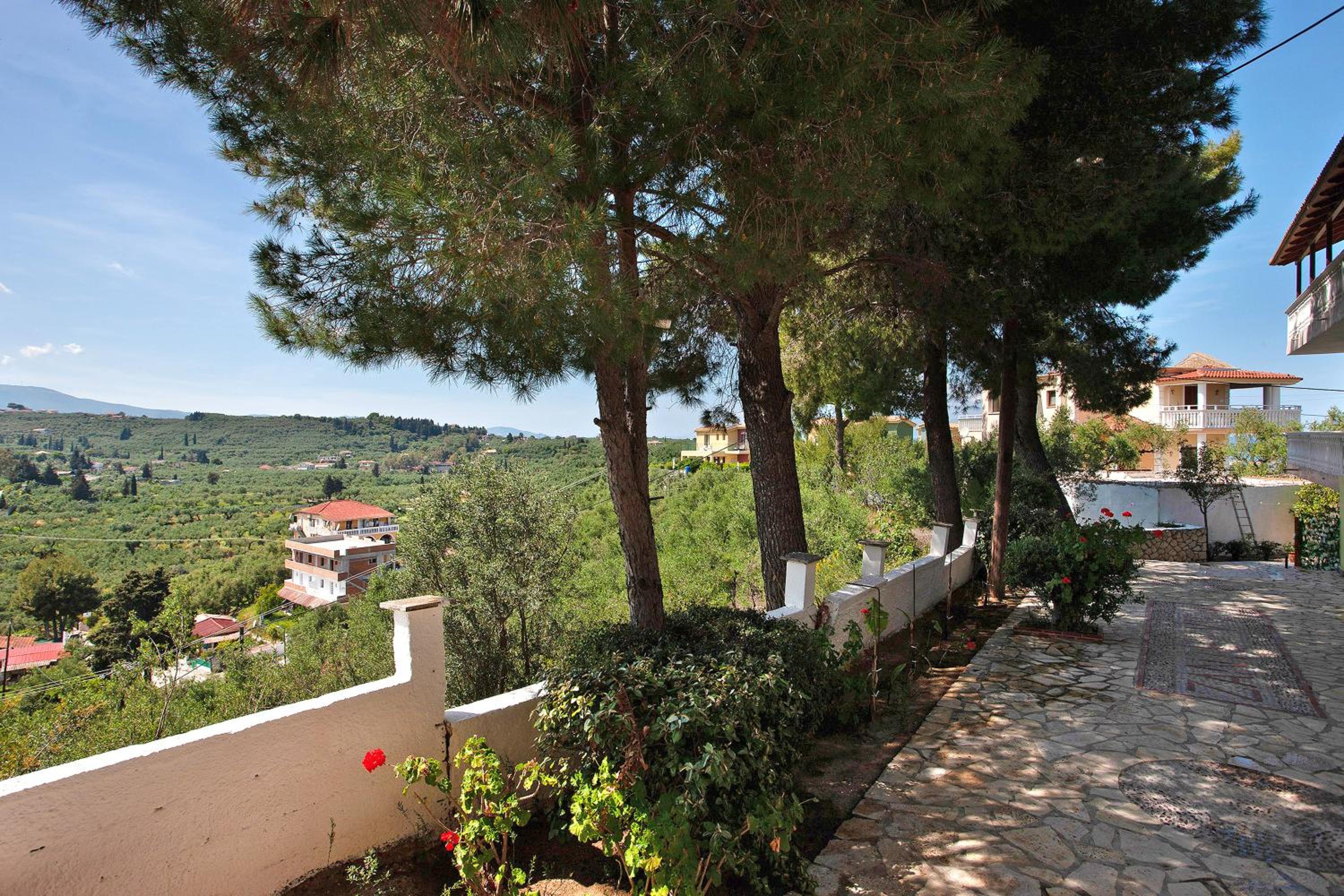 Studio with Terrace photo 2