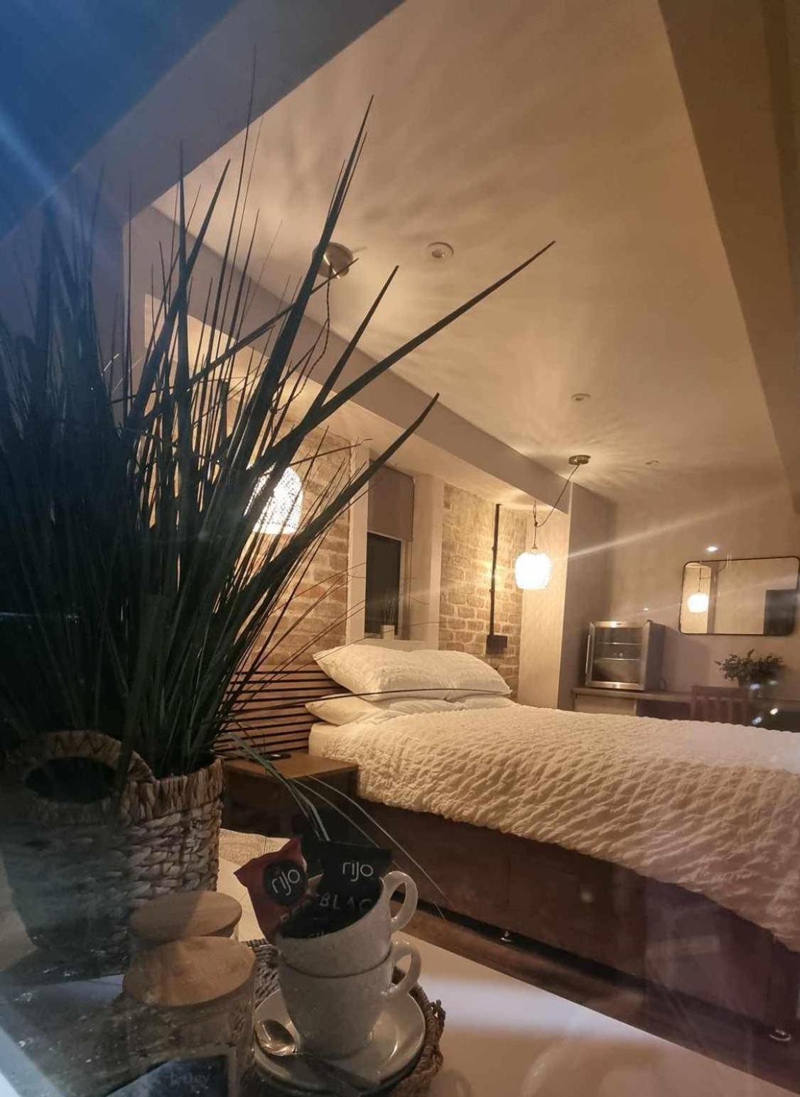 King Room photo 1