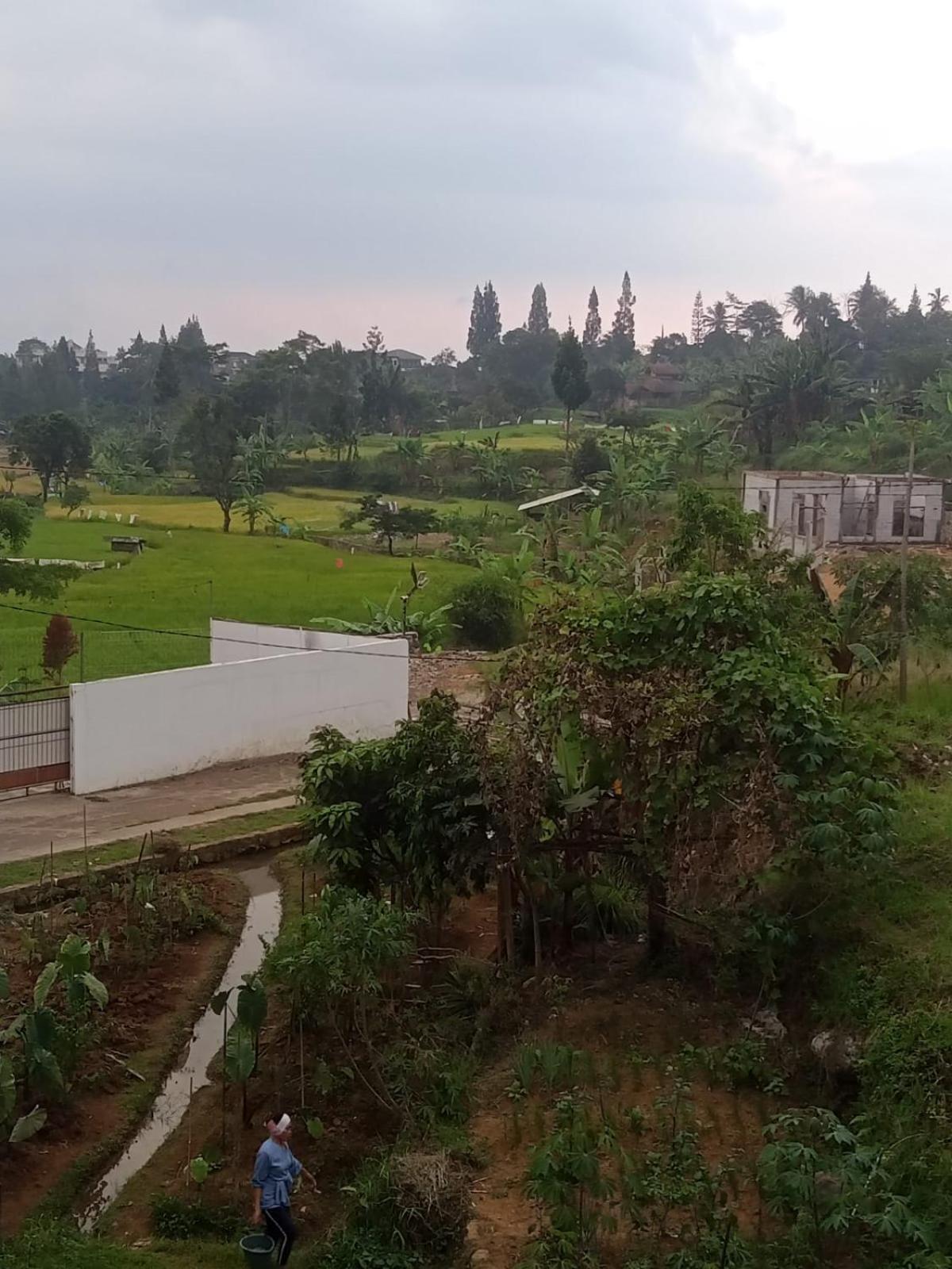 Villa photo 2