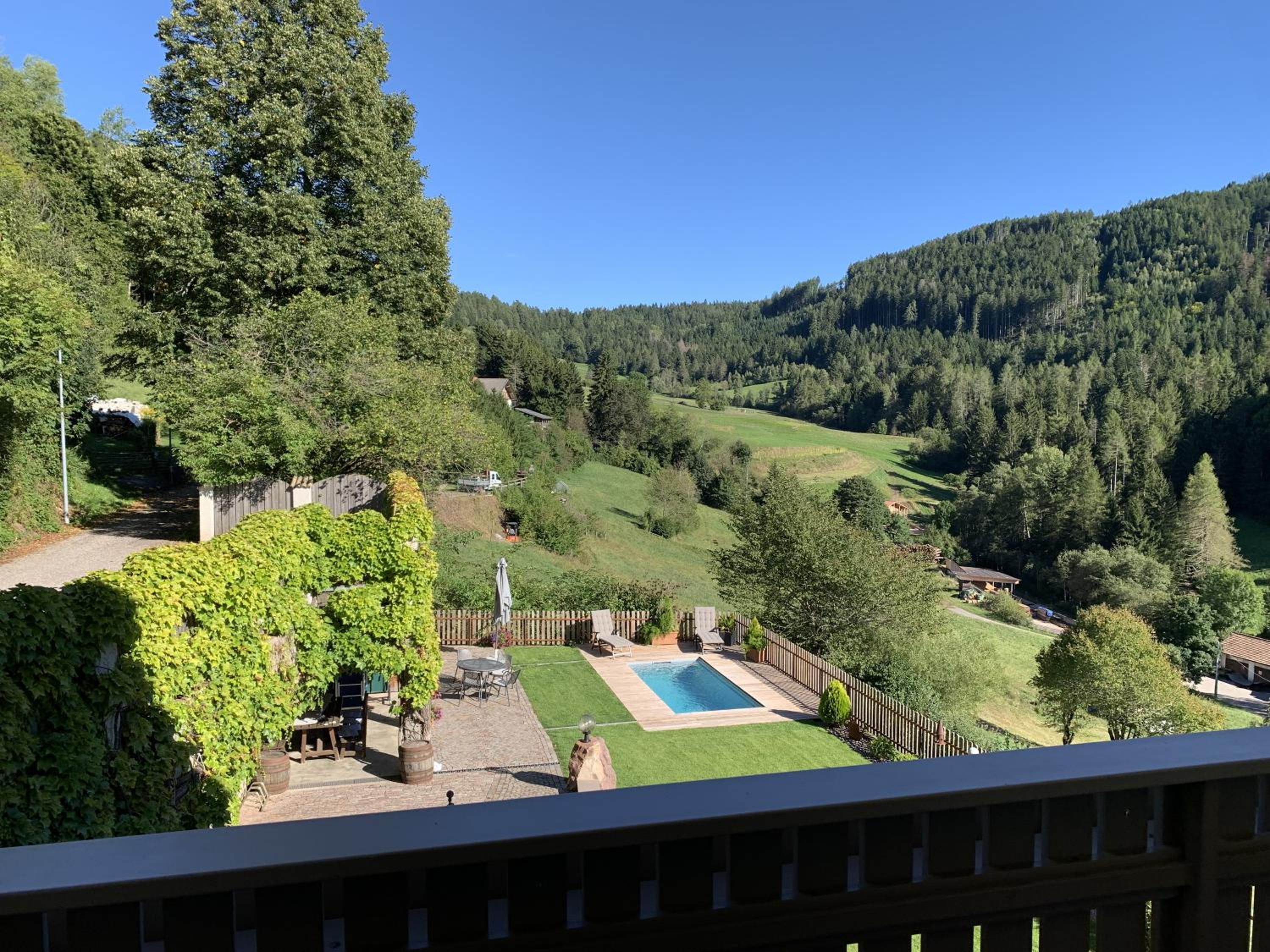 Superior One-Bedroom Apartment with Balcony photo 3