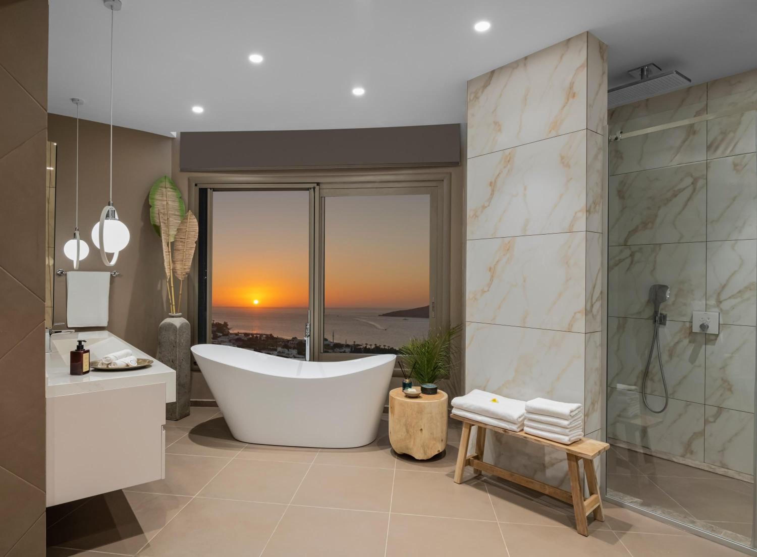 Suite with Mountain View photo 3
