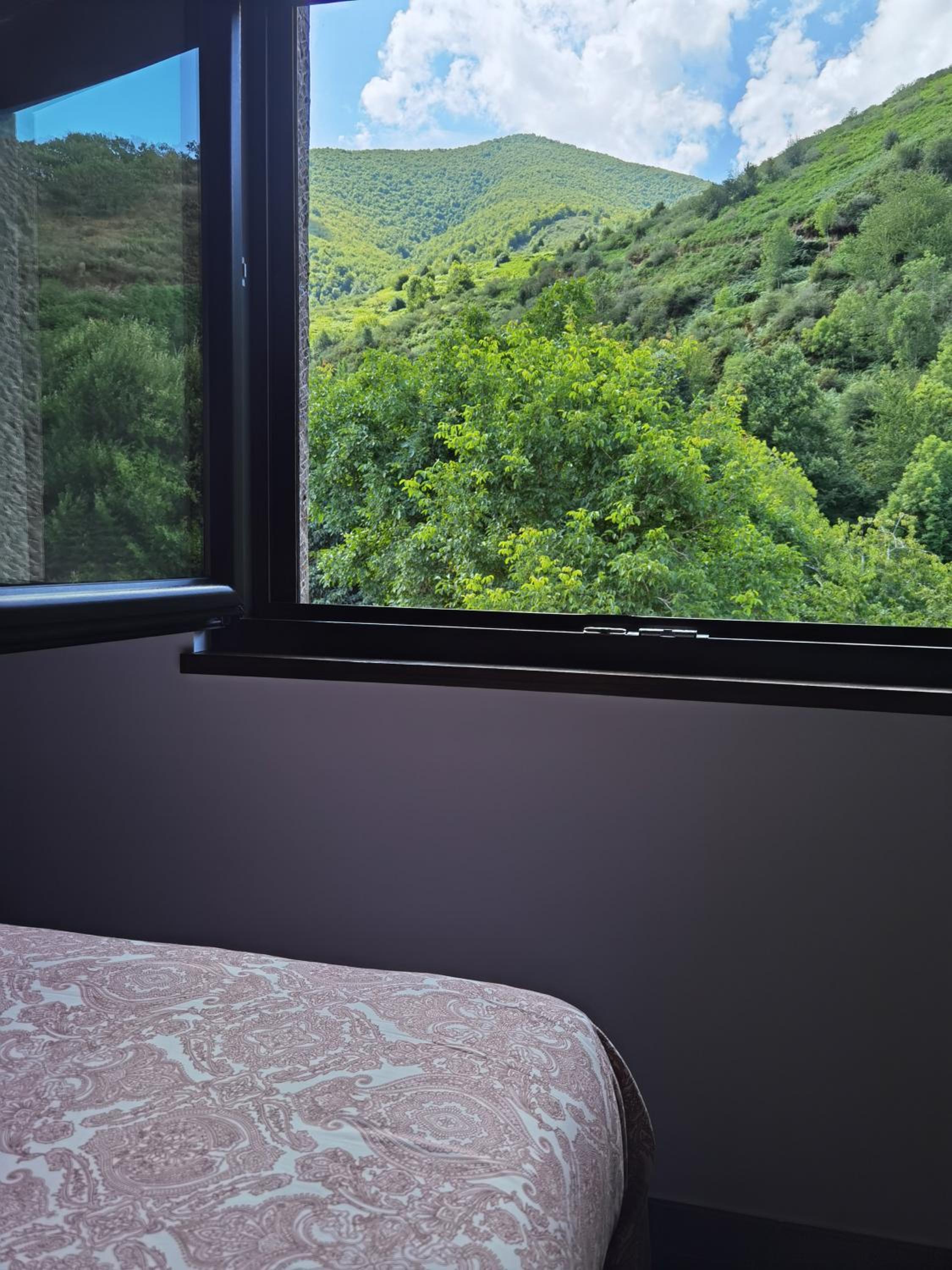 Double or Twin Room photo 3