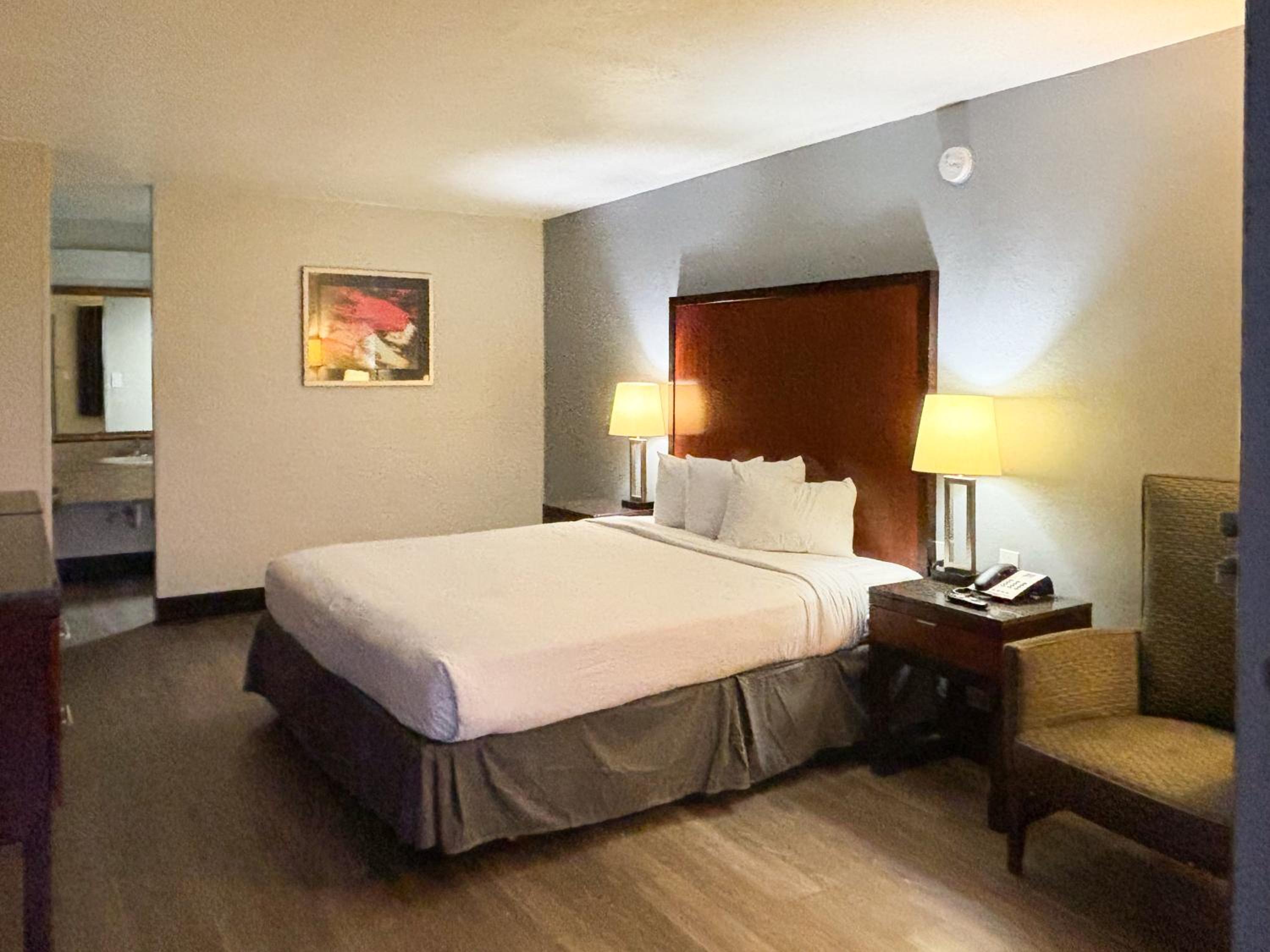 Single Room photo 1