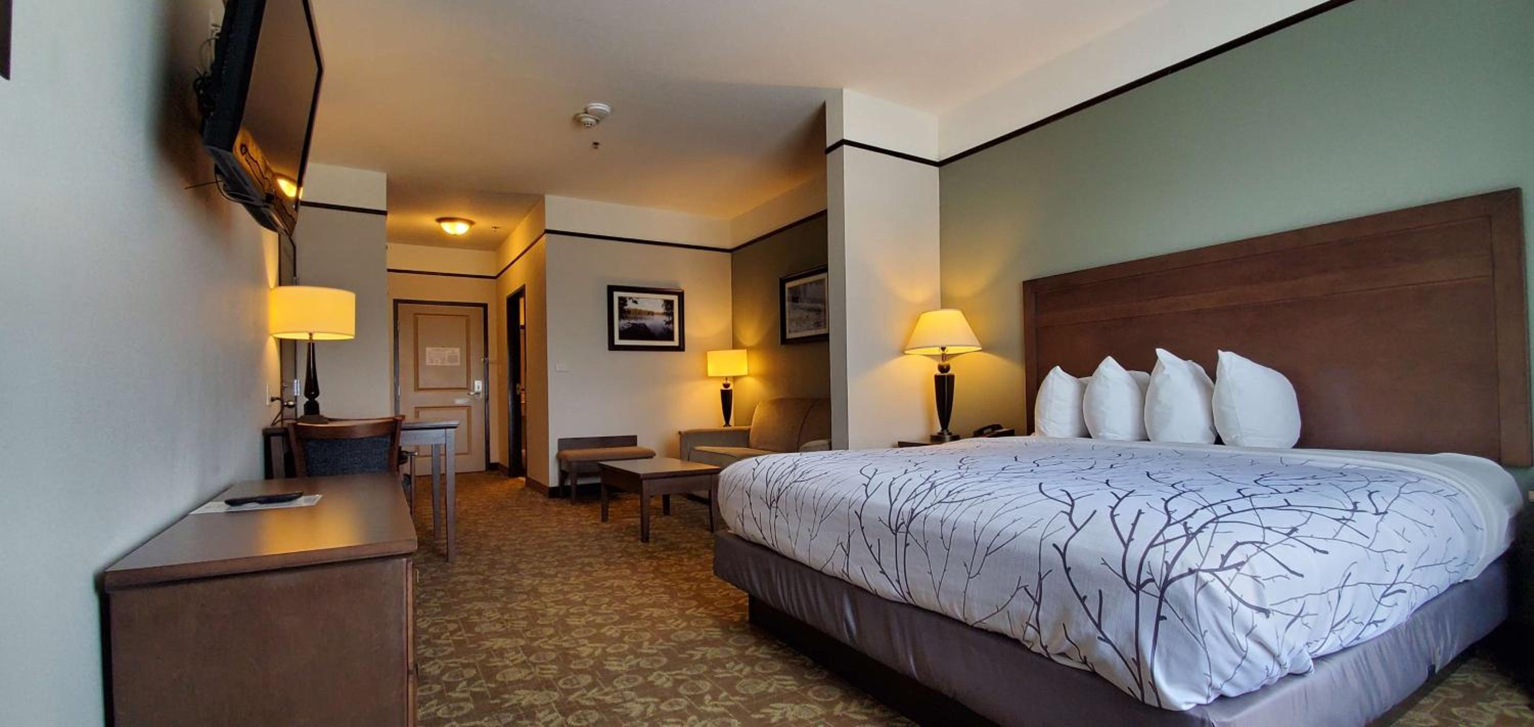 King Suite with Jetted Tub and Sofa Bed - Walk-In Shower/Non-Smoking photo 3