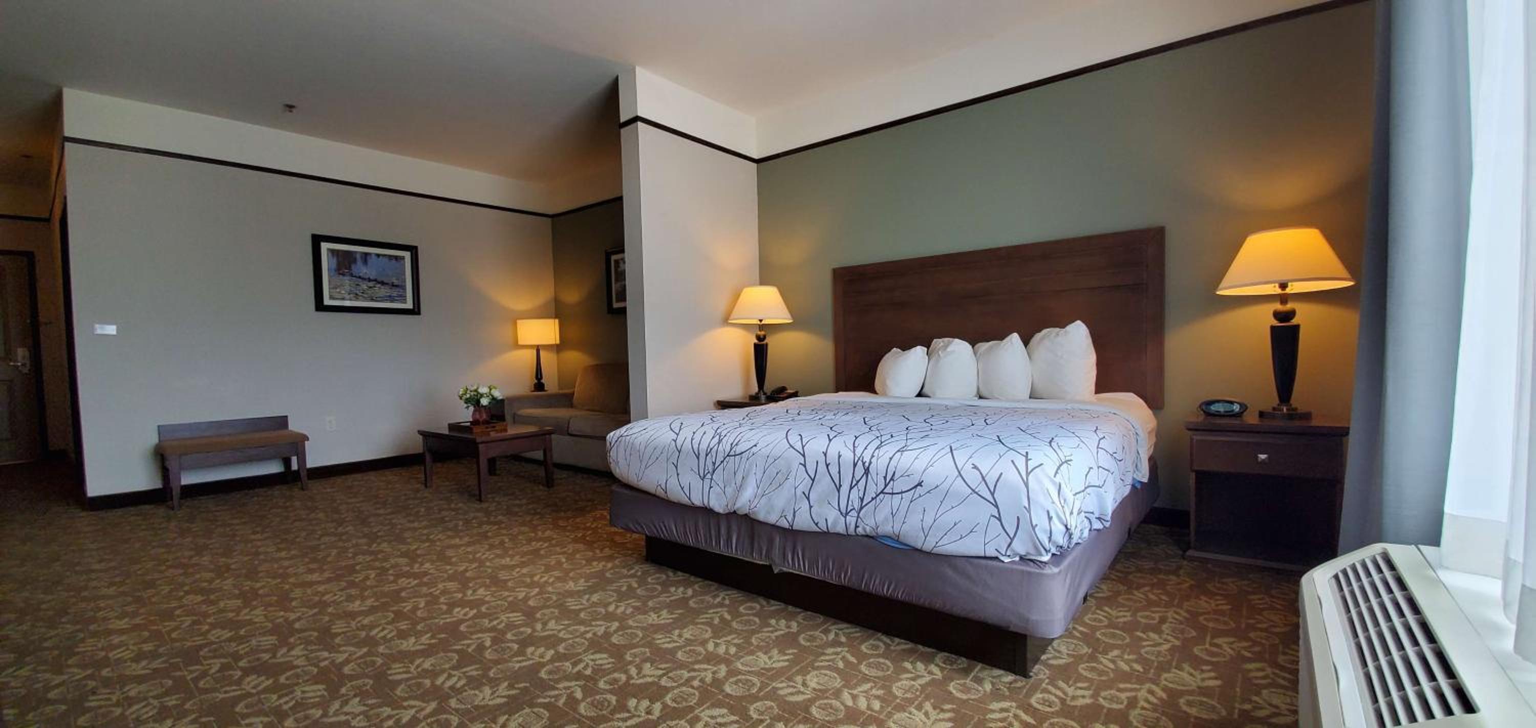 King Suite with Jetted Tub and Sofa Bed - Walk-In Shower/Non-Smoking photo 1