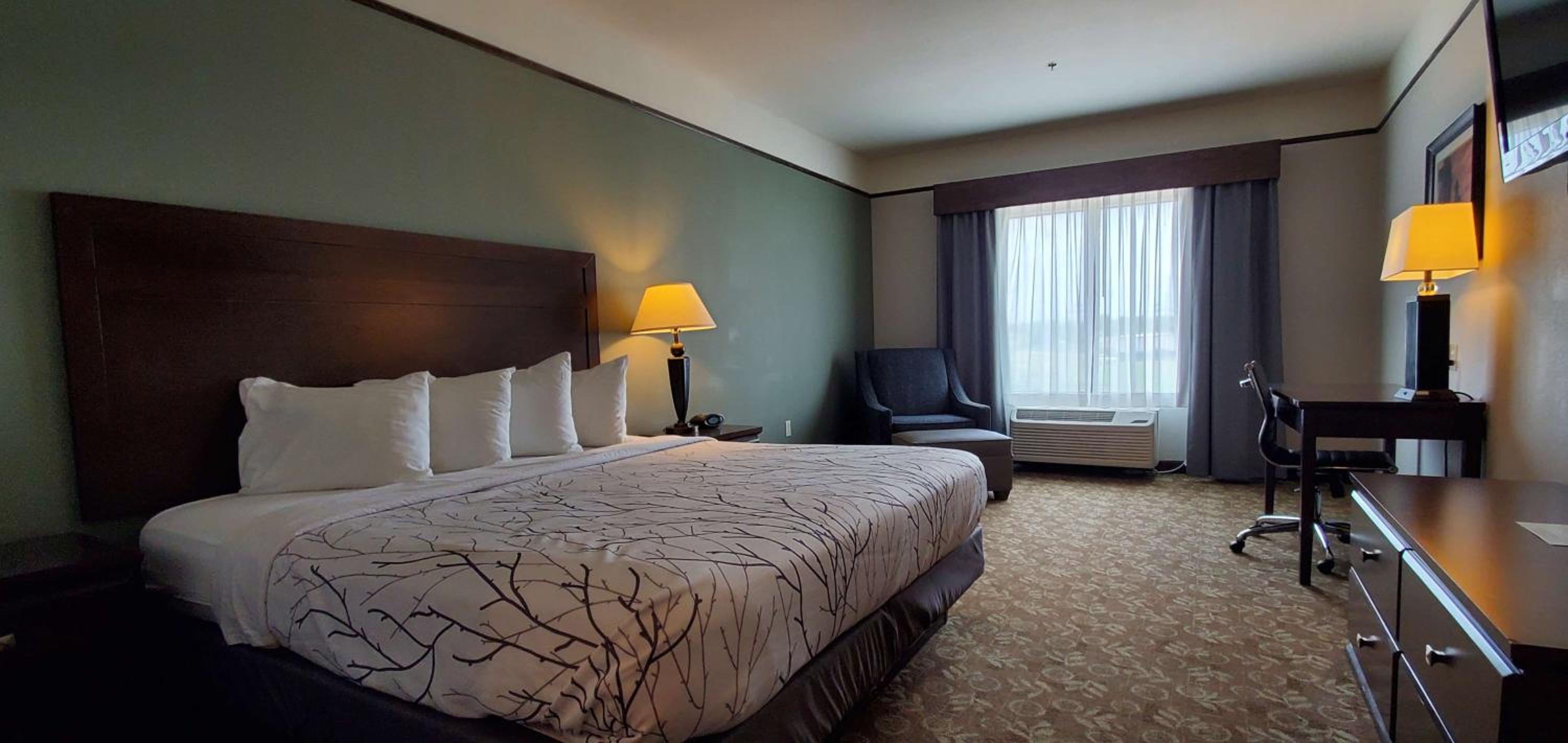 King Room - Non-Smoking photo 1
