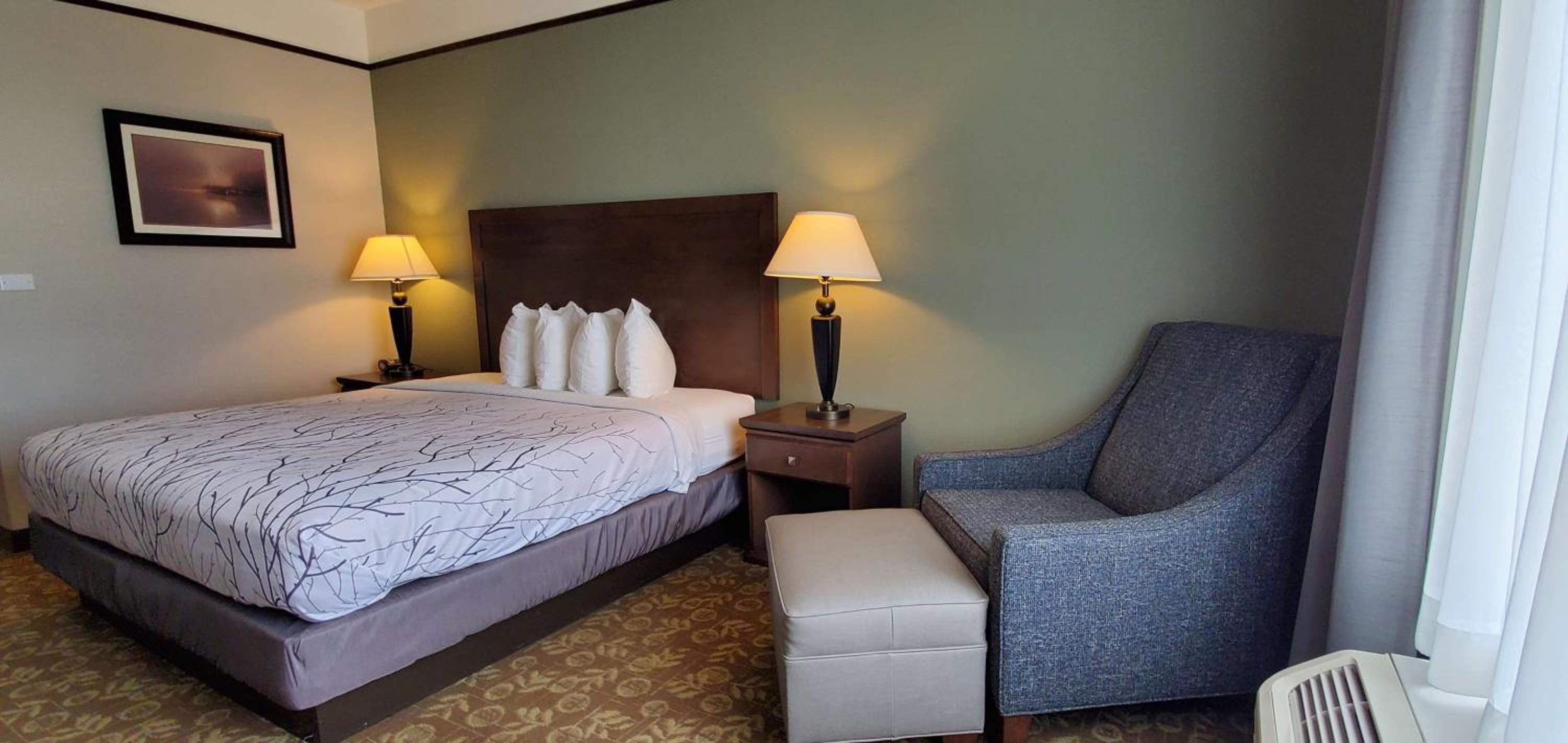 King Room - Non-Smoking photo 2