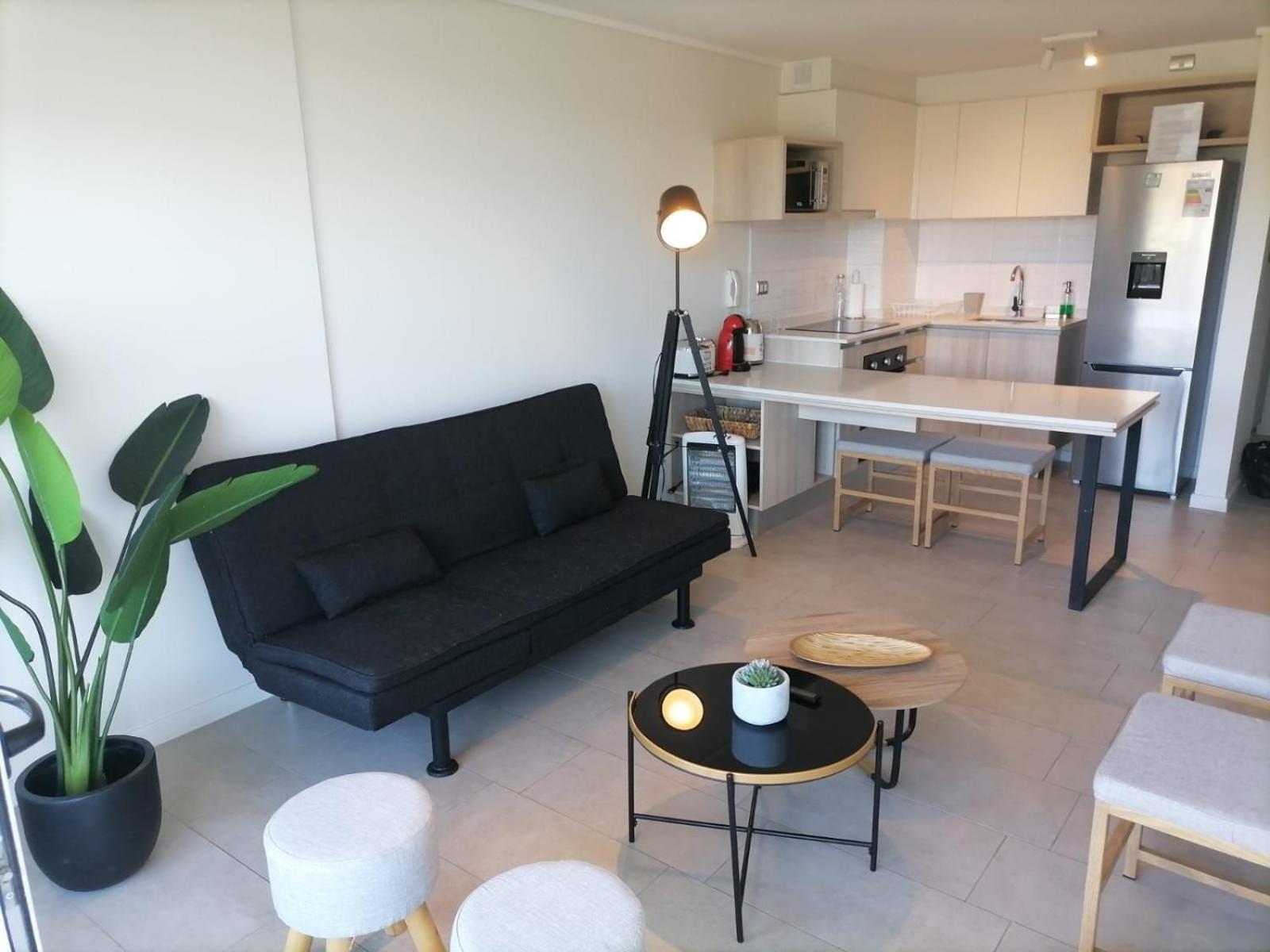 Penthouse Apartment photo 3
