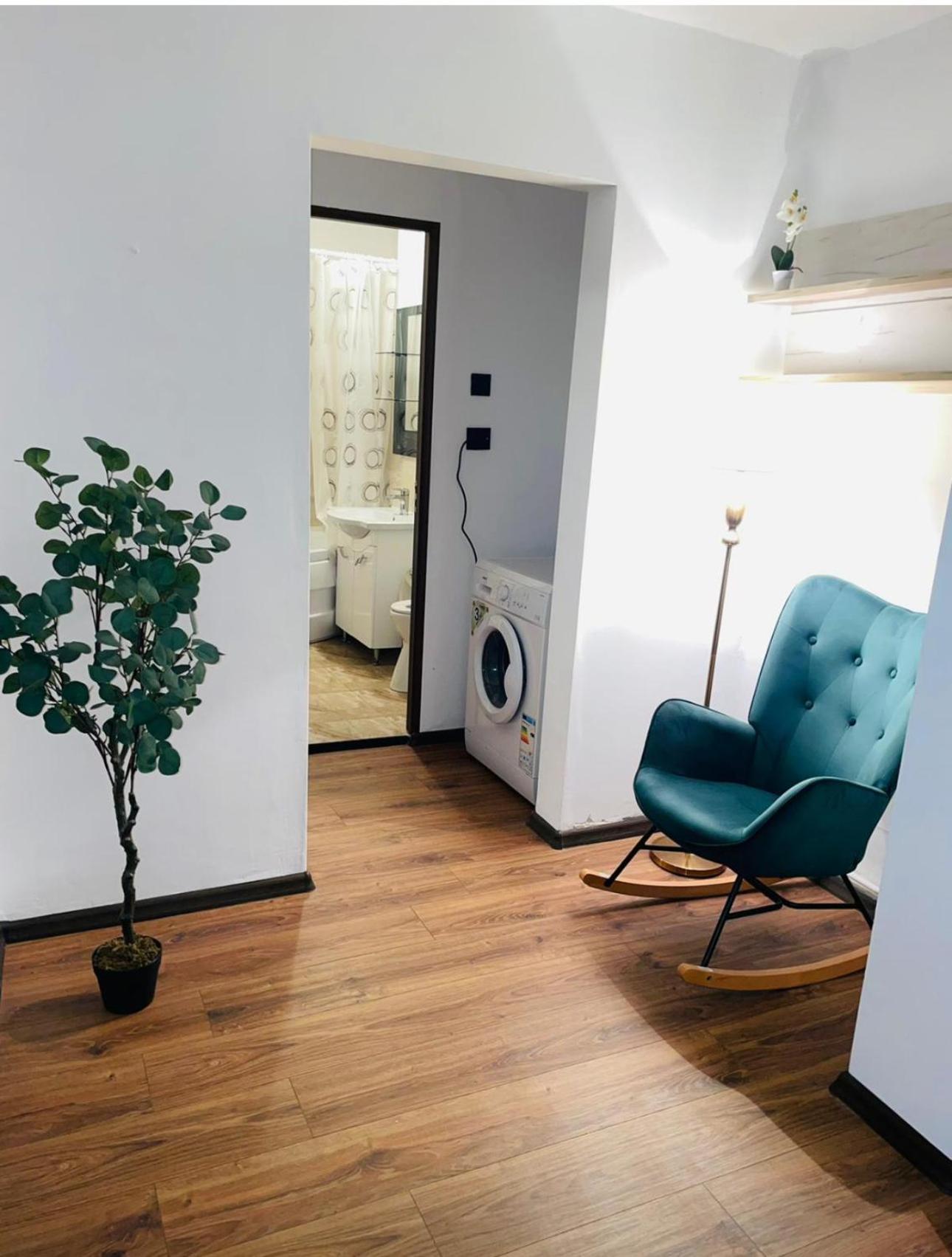 One-Bedroom Apartment photo 3