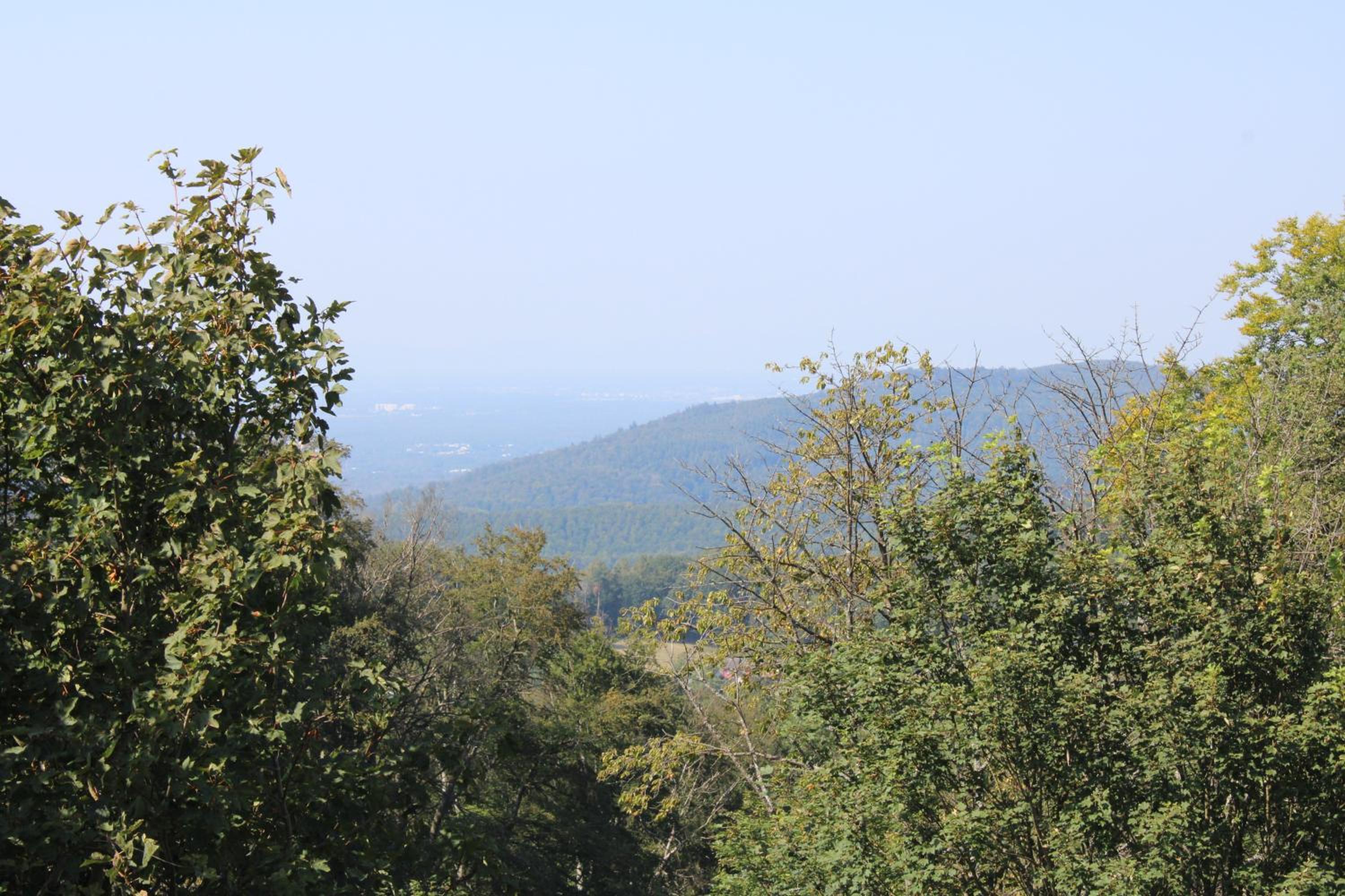 Double Room with Mountain View photo 2