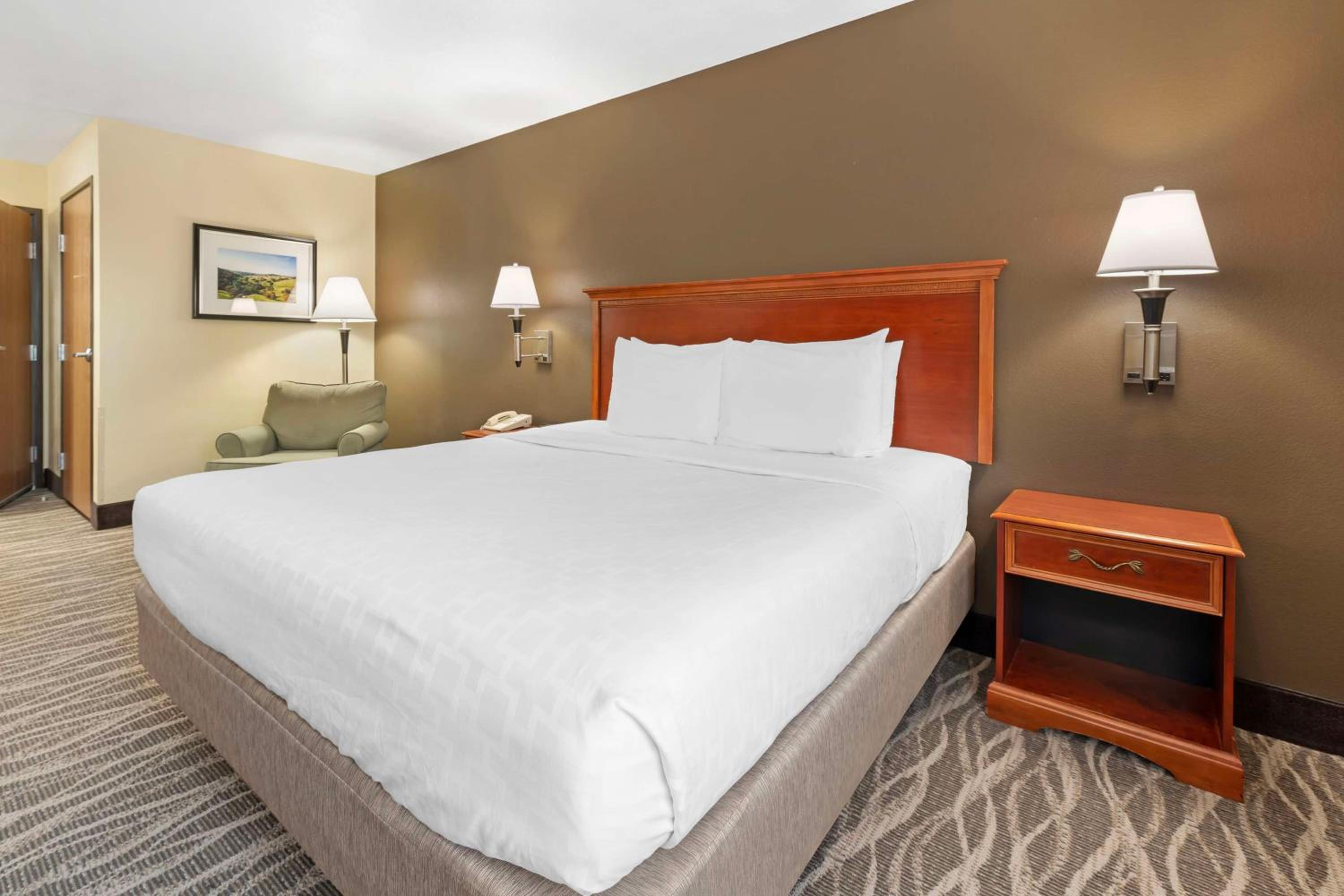 King Room - Pet Friendly/Non-Smoking - Photo 5