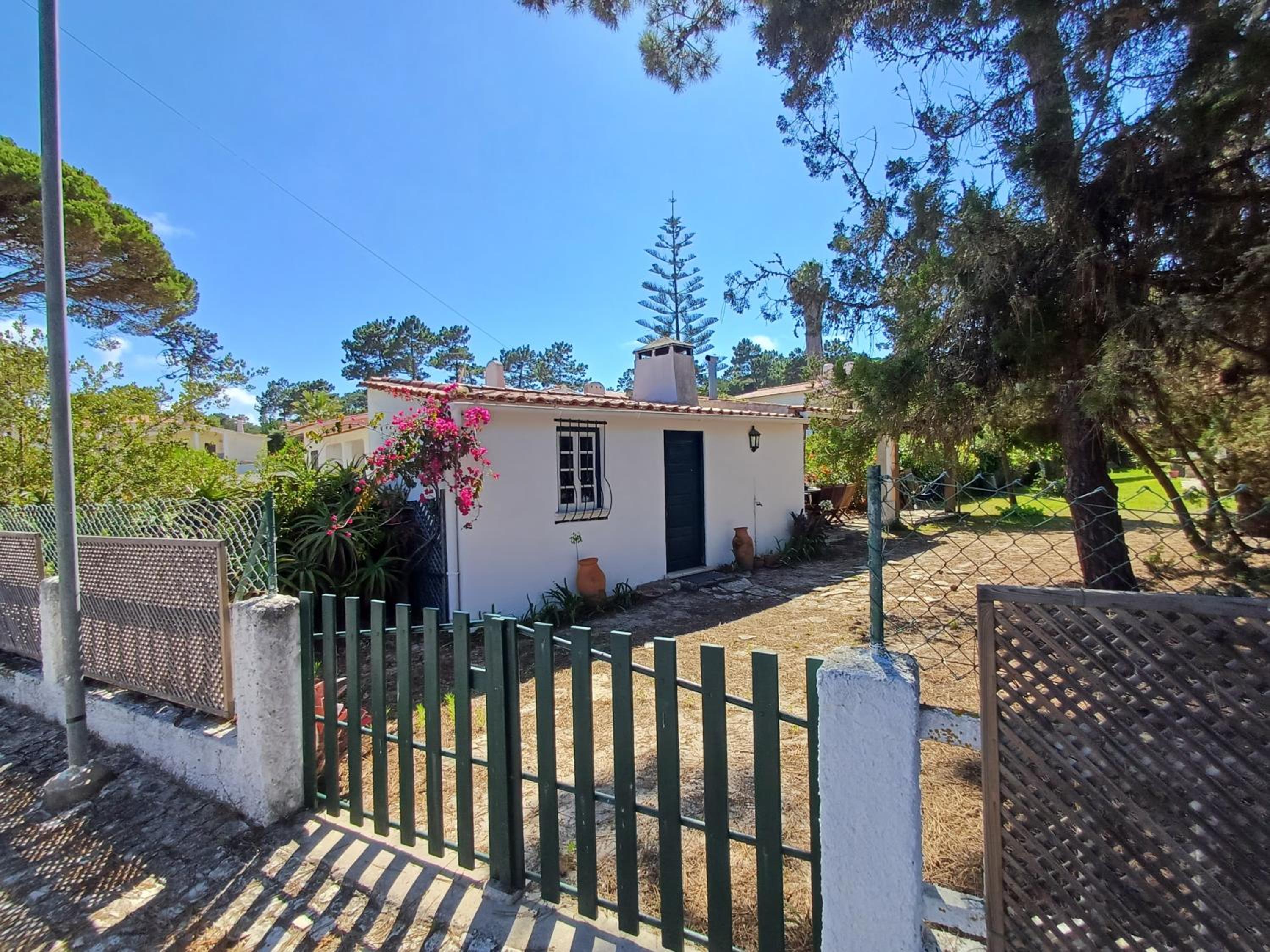 Three-Bedroom House photo 2