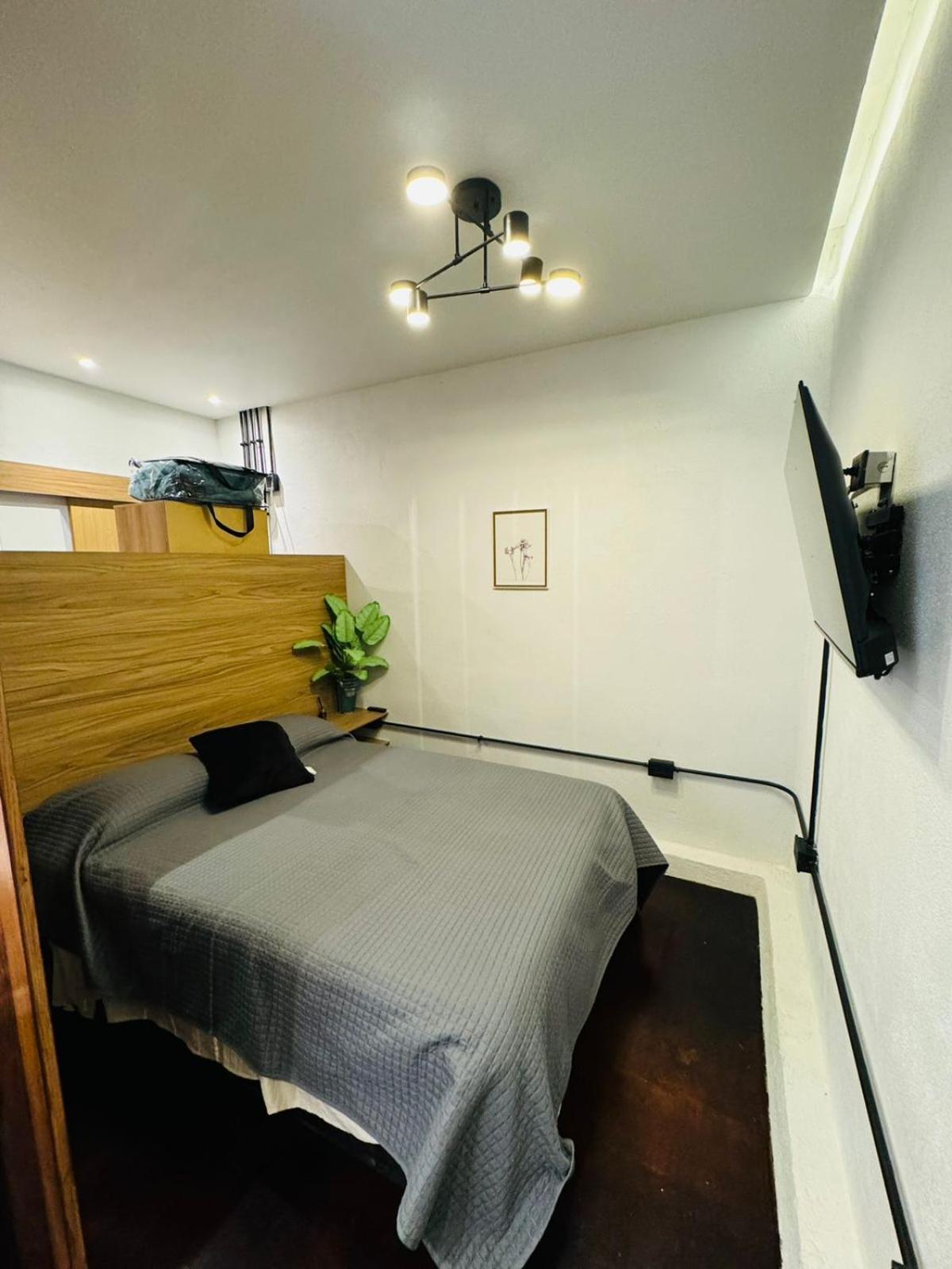 One-Bedroom Apartment photo 2