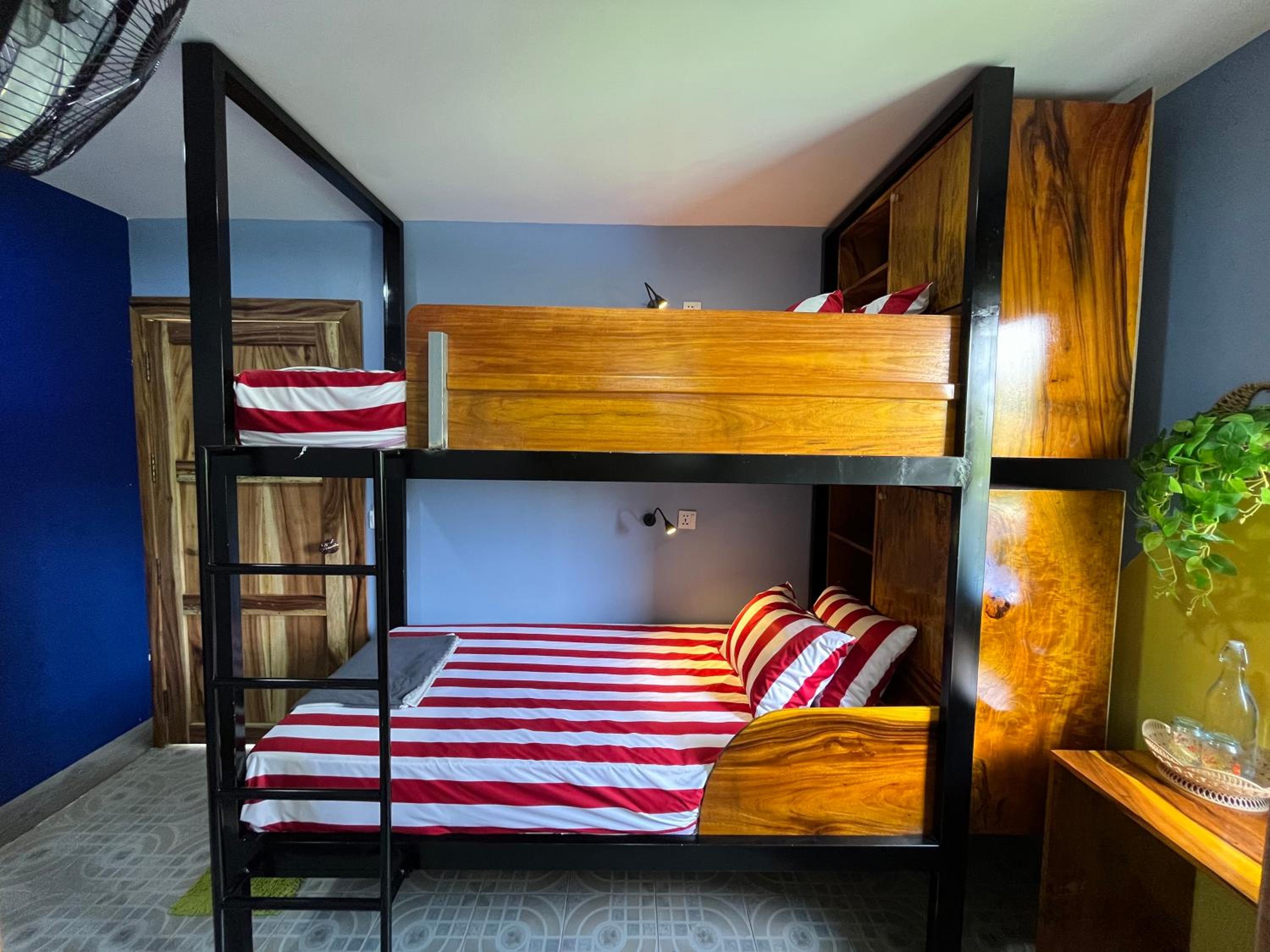 Deluxe Twin Room photo 3