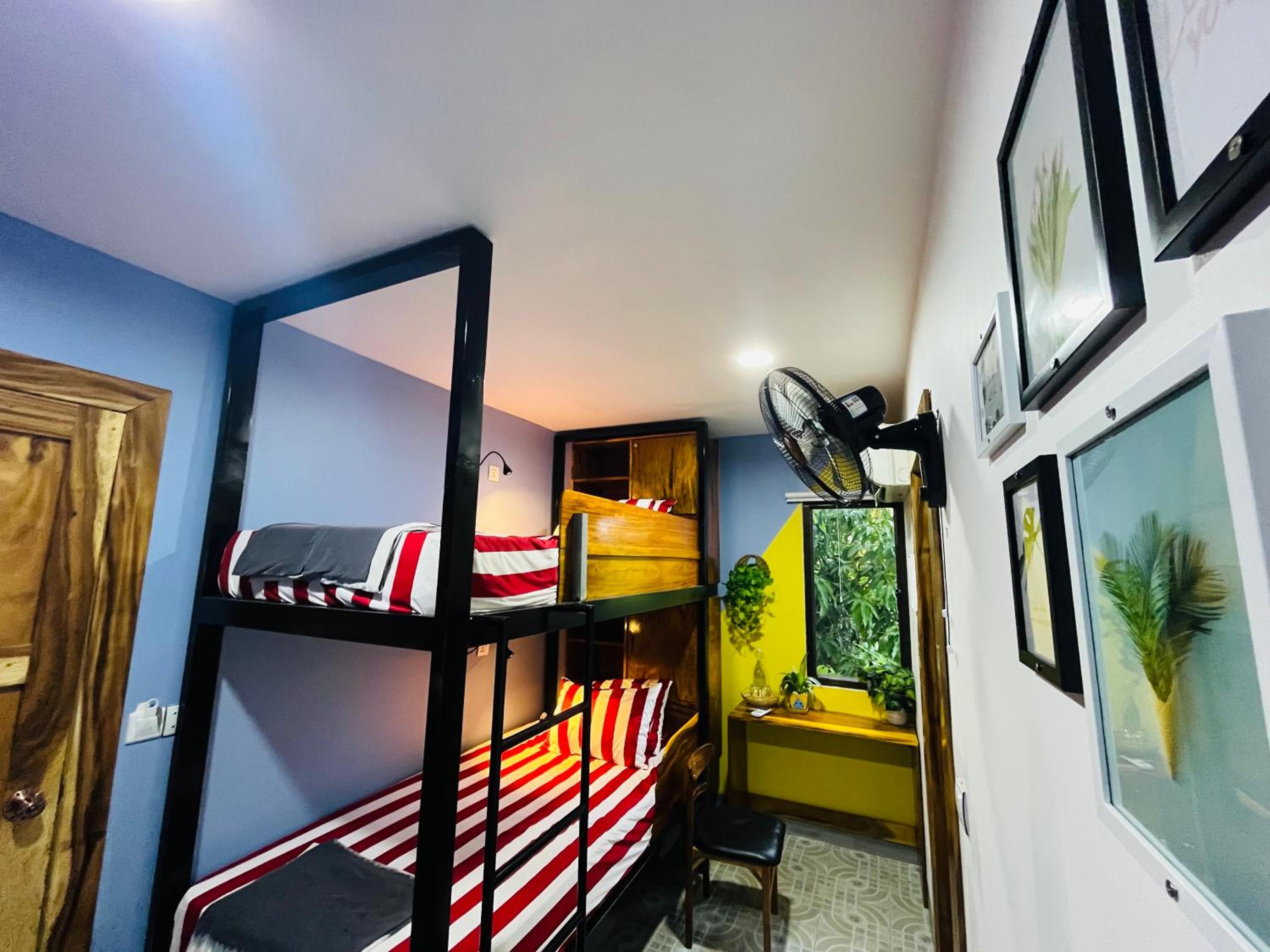 Deluxe Twin Room photo 1