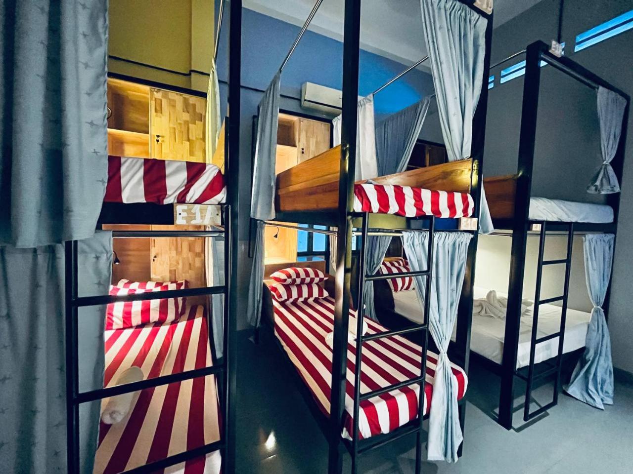 Bunk Bed In Mixed Dormitory Room photo 1
