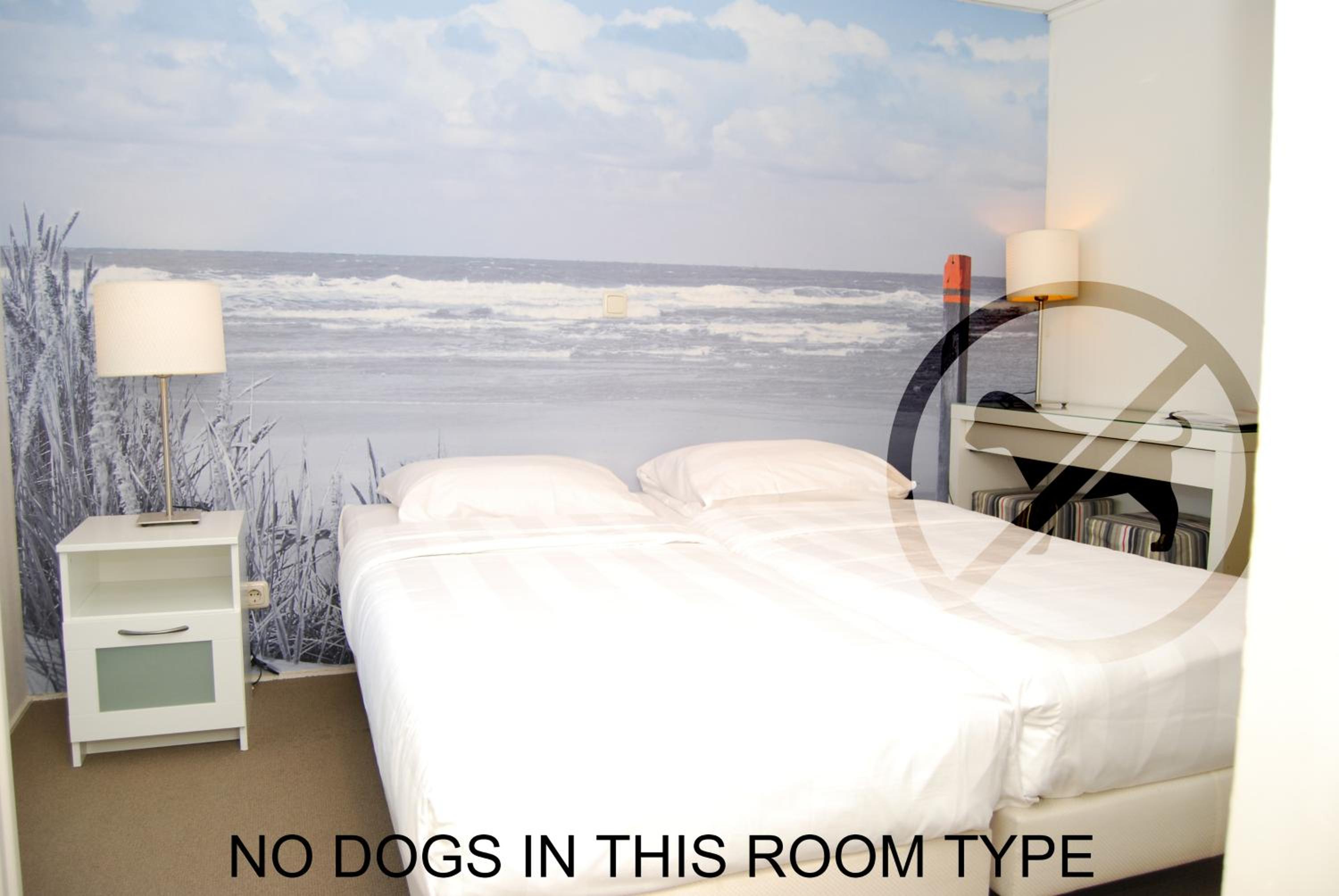 Budget Twin Room photo 3