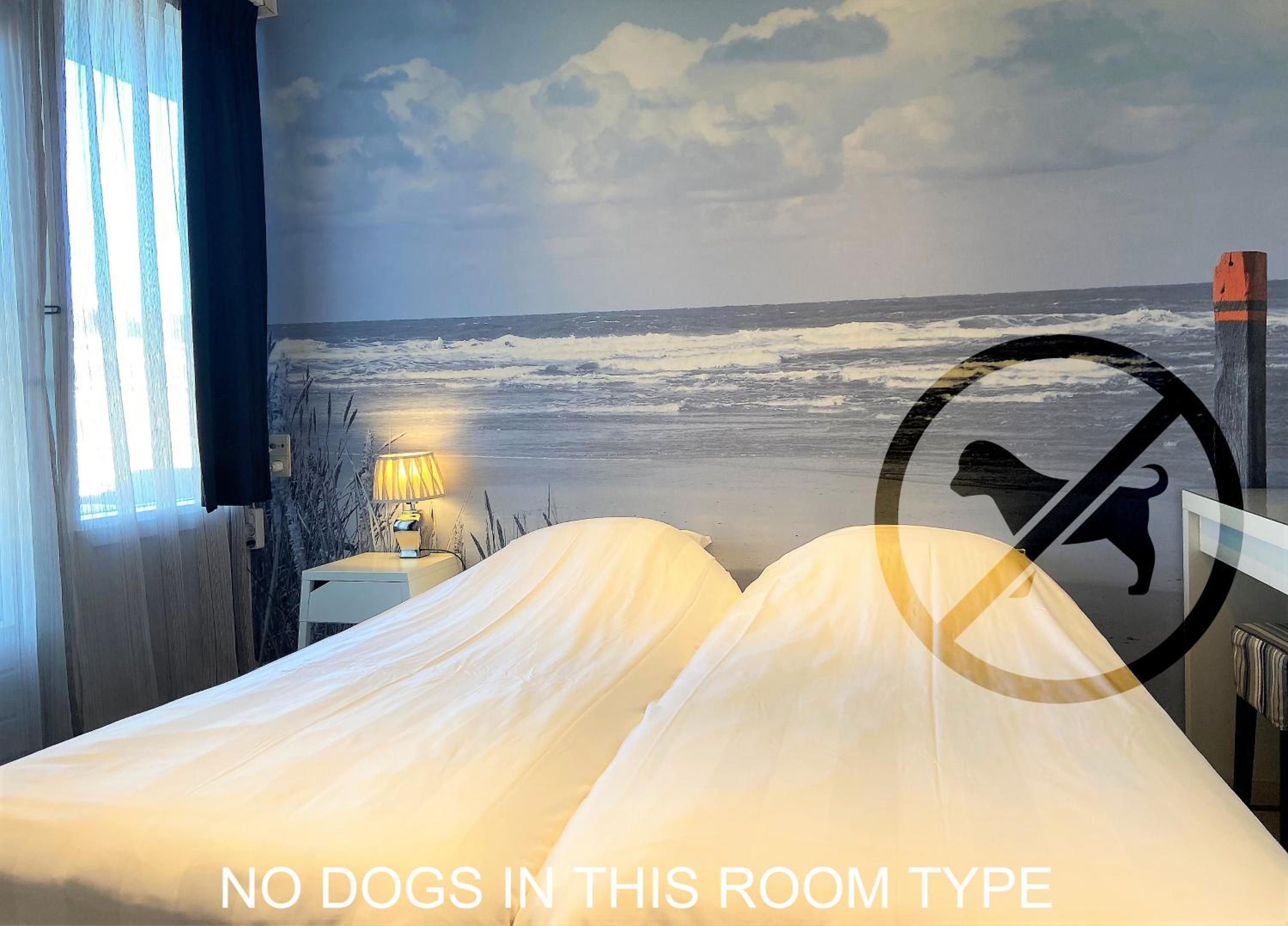 Budget Twin Room photo 2