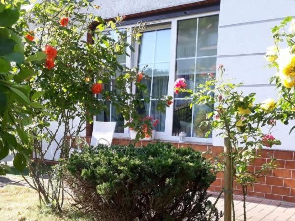 Apartment - Photo 5