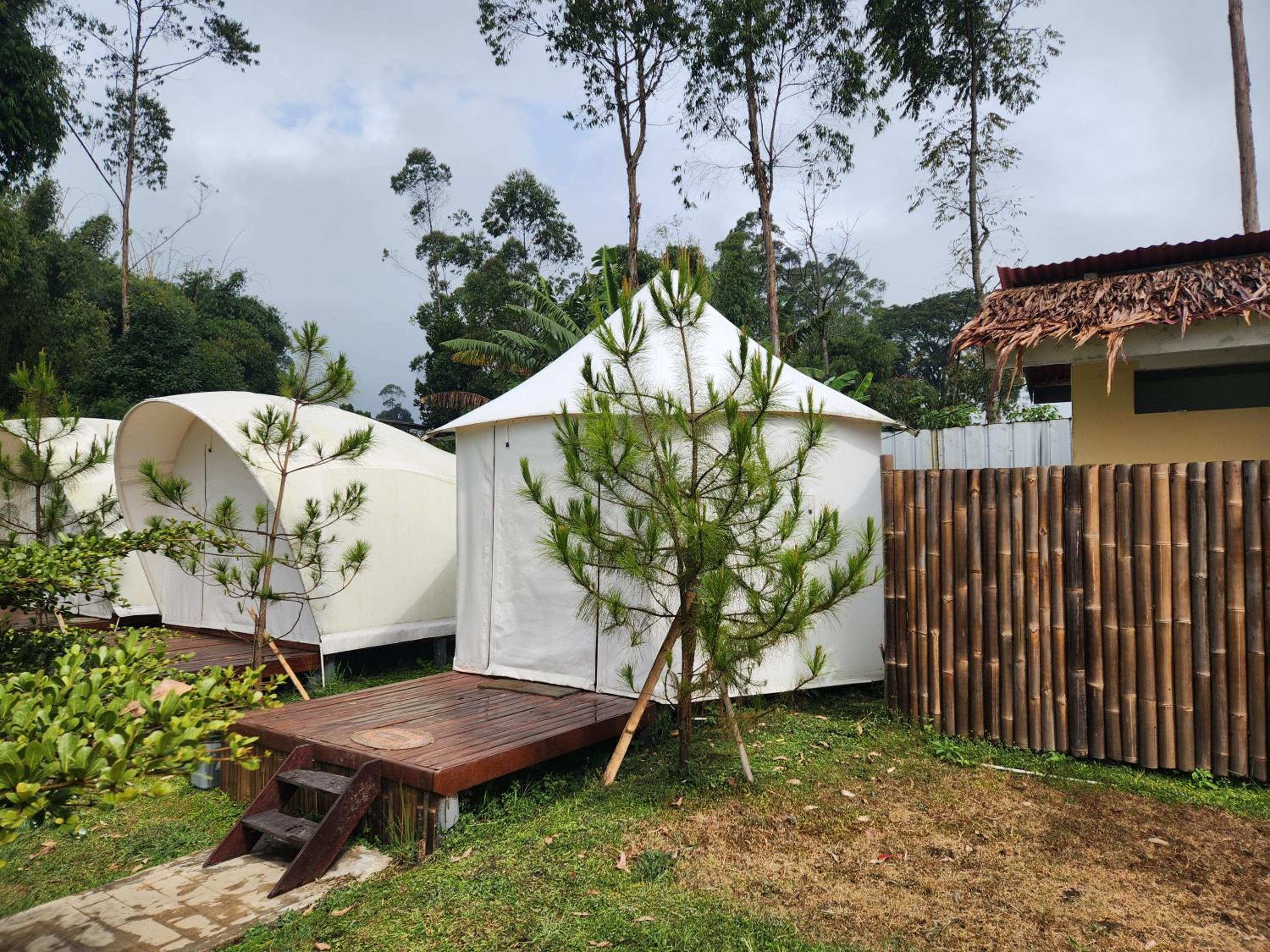 Tent photo 3